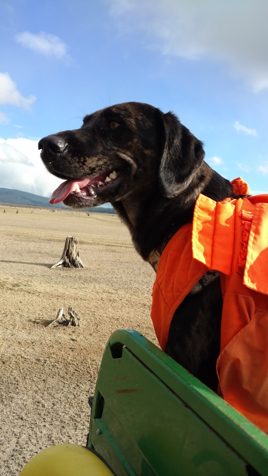 Reservoir Campground