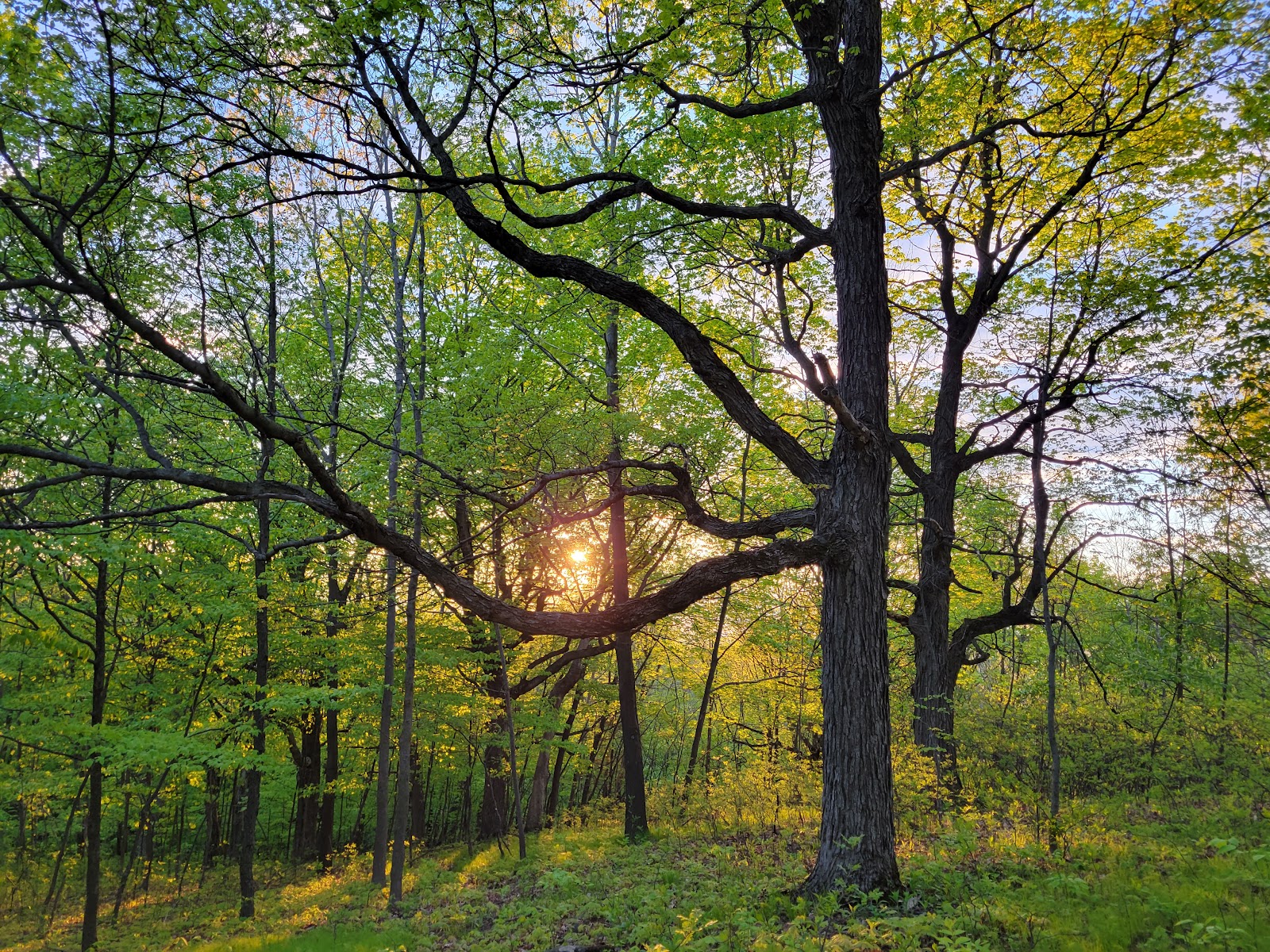 Kettle Moraine State Forest- Pike Lake Unit