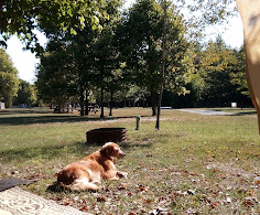 Main Brothers Campground