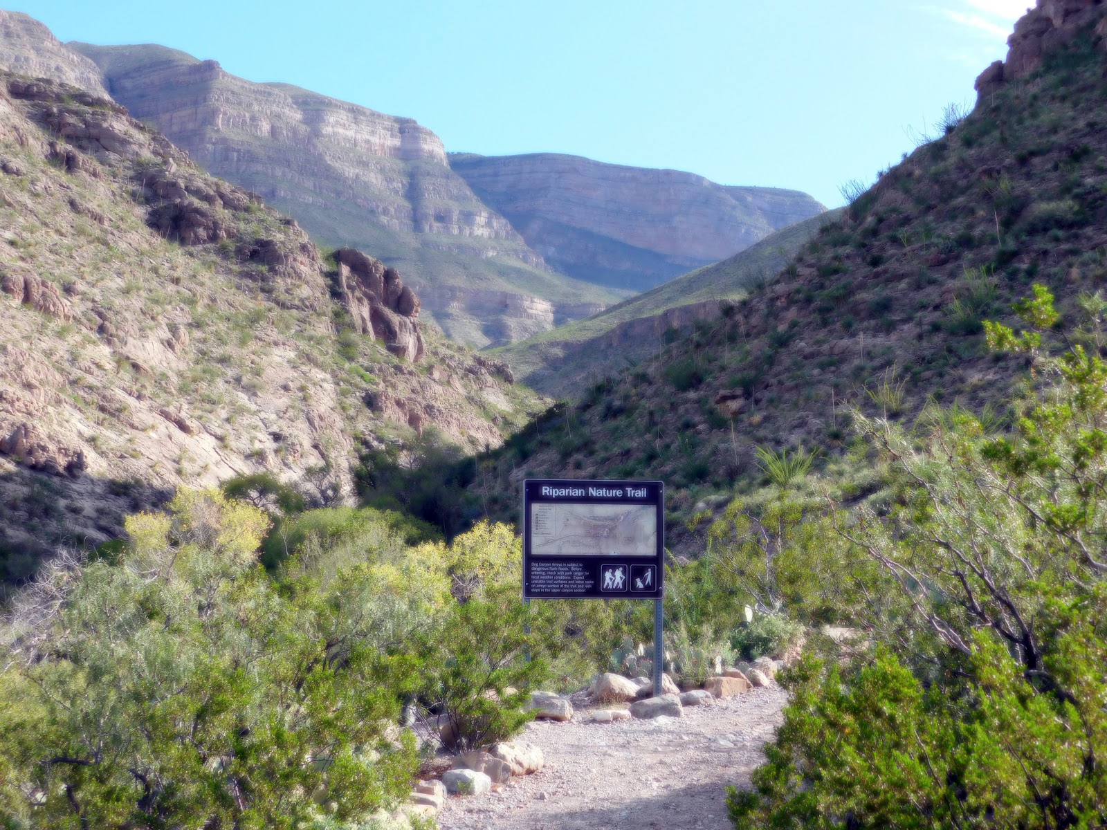 Oliver Lee Memorial State Park