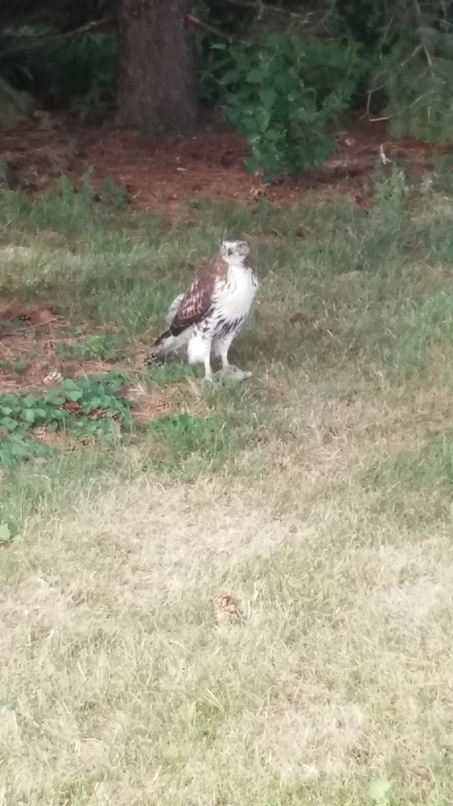 Westwick Motel & RV Park