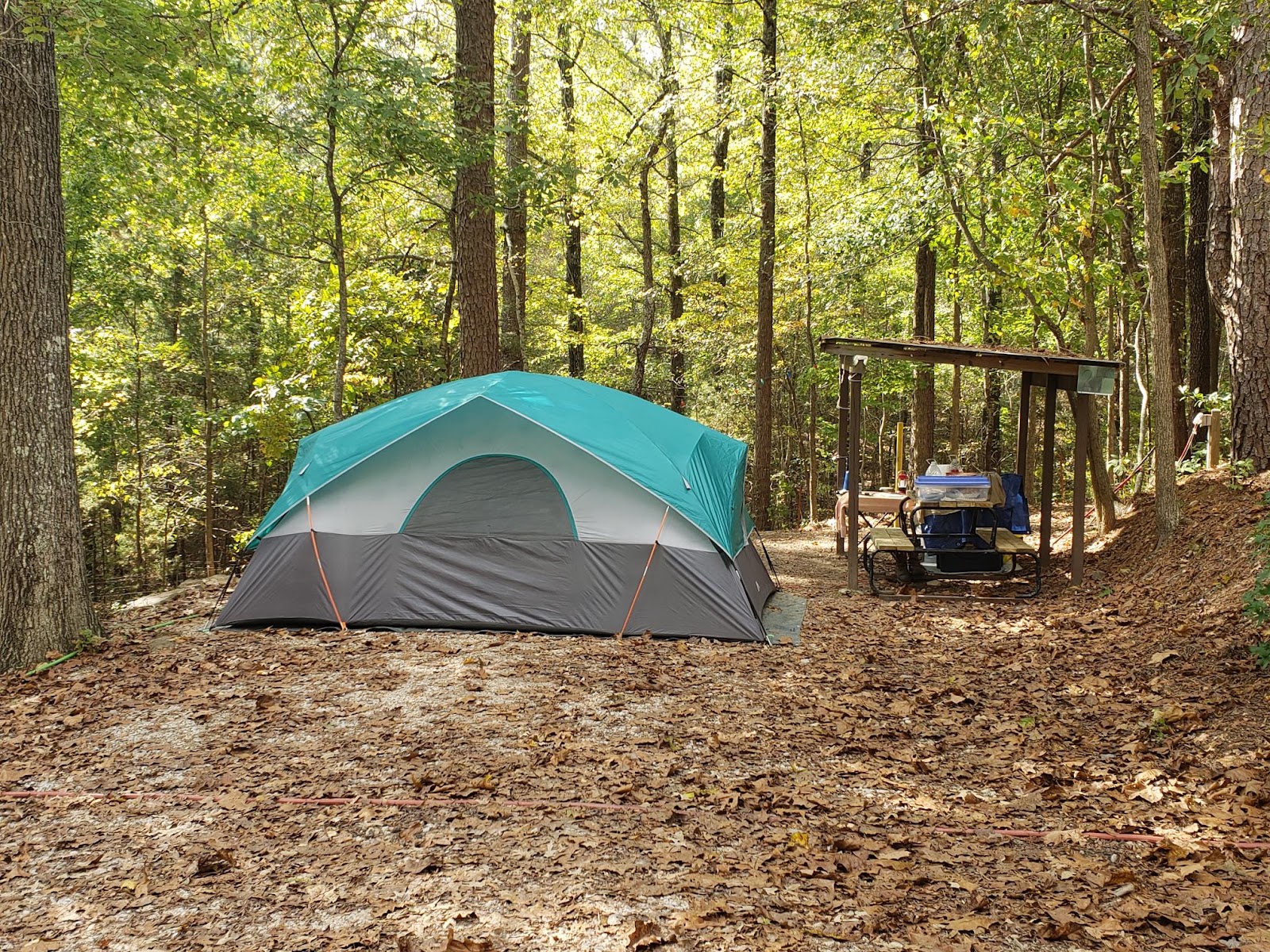 Dogwood Springs Campground