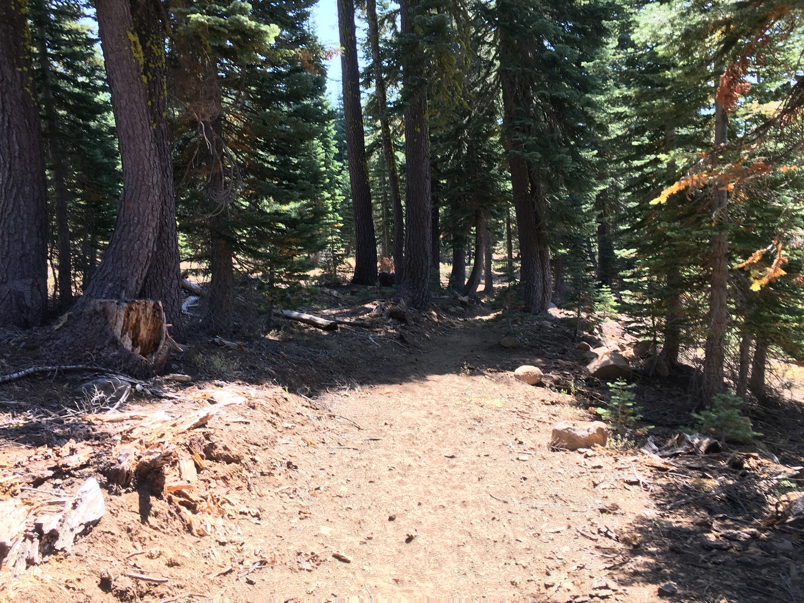 Coyote Group Campground