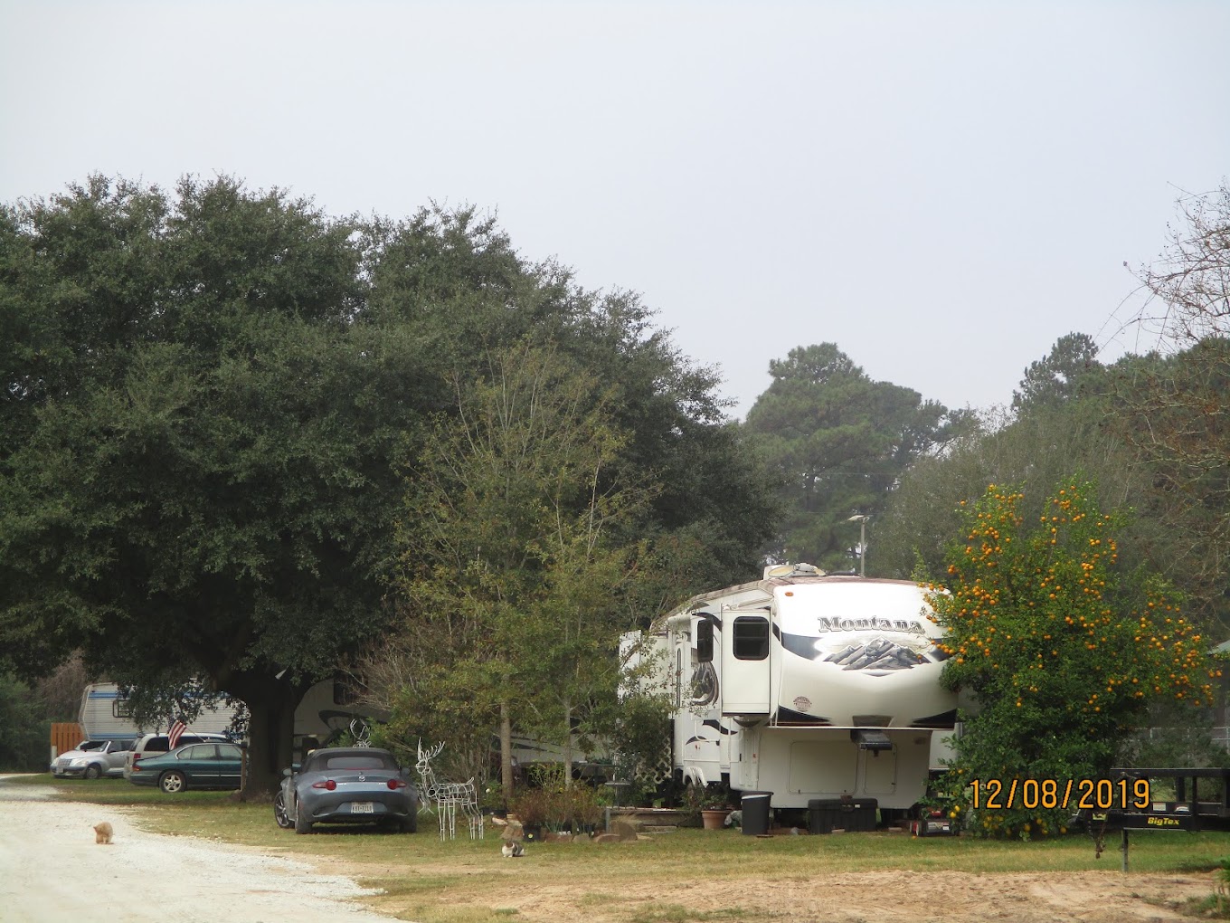 Magnolia Blossom RV Park
