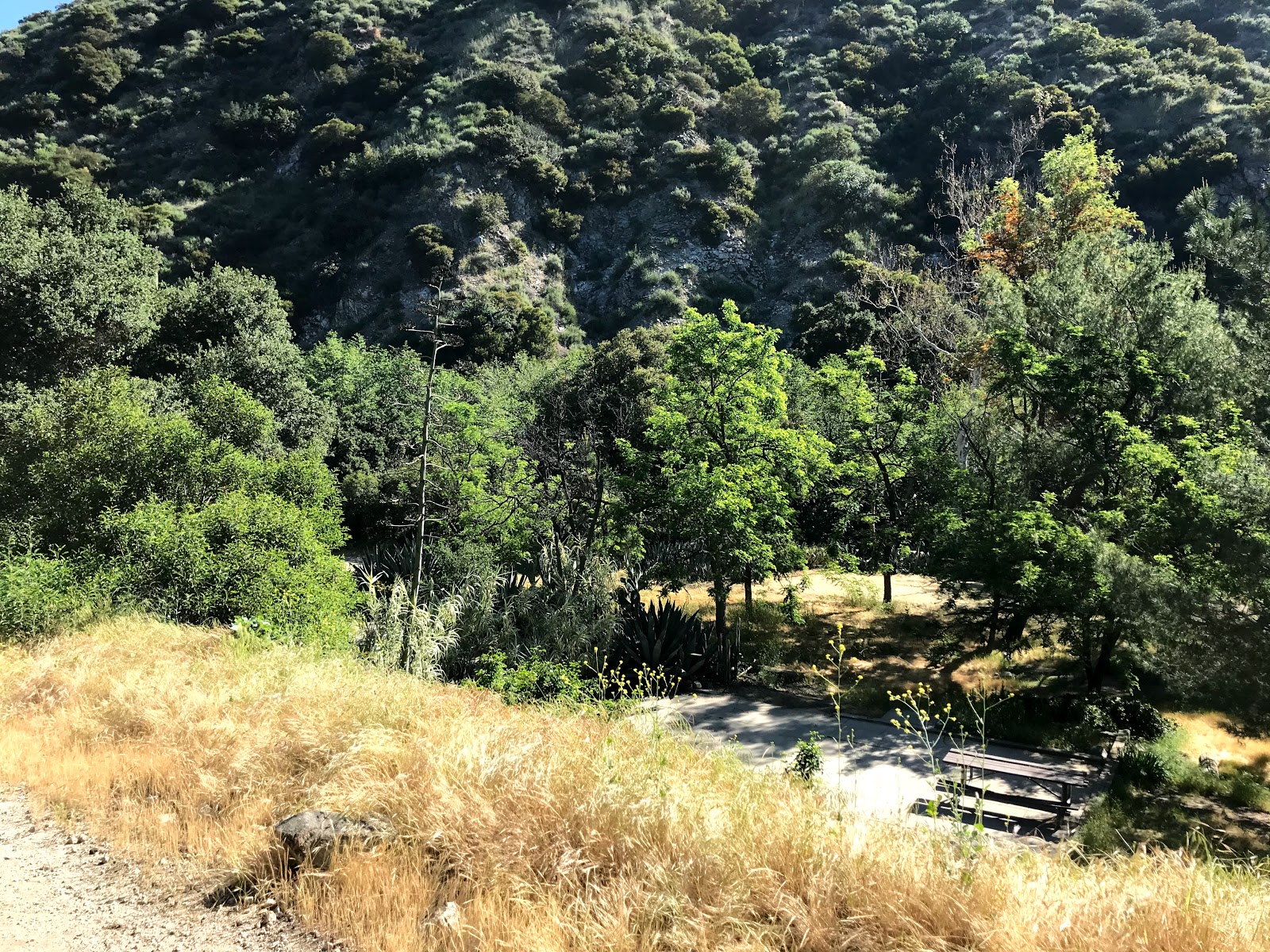 Gould Mesa Trail Camp