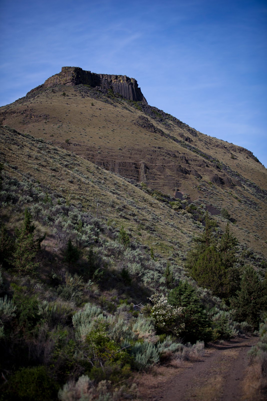 Trout Creek Campground