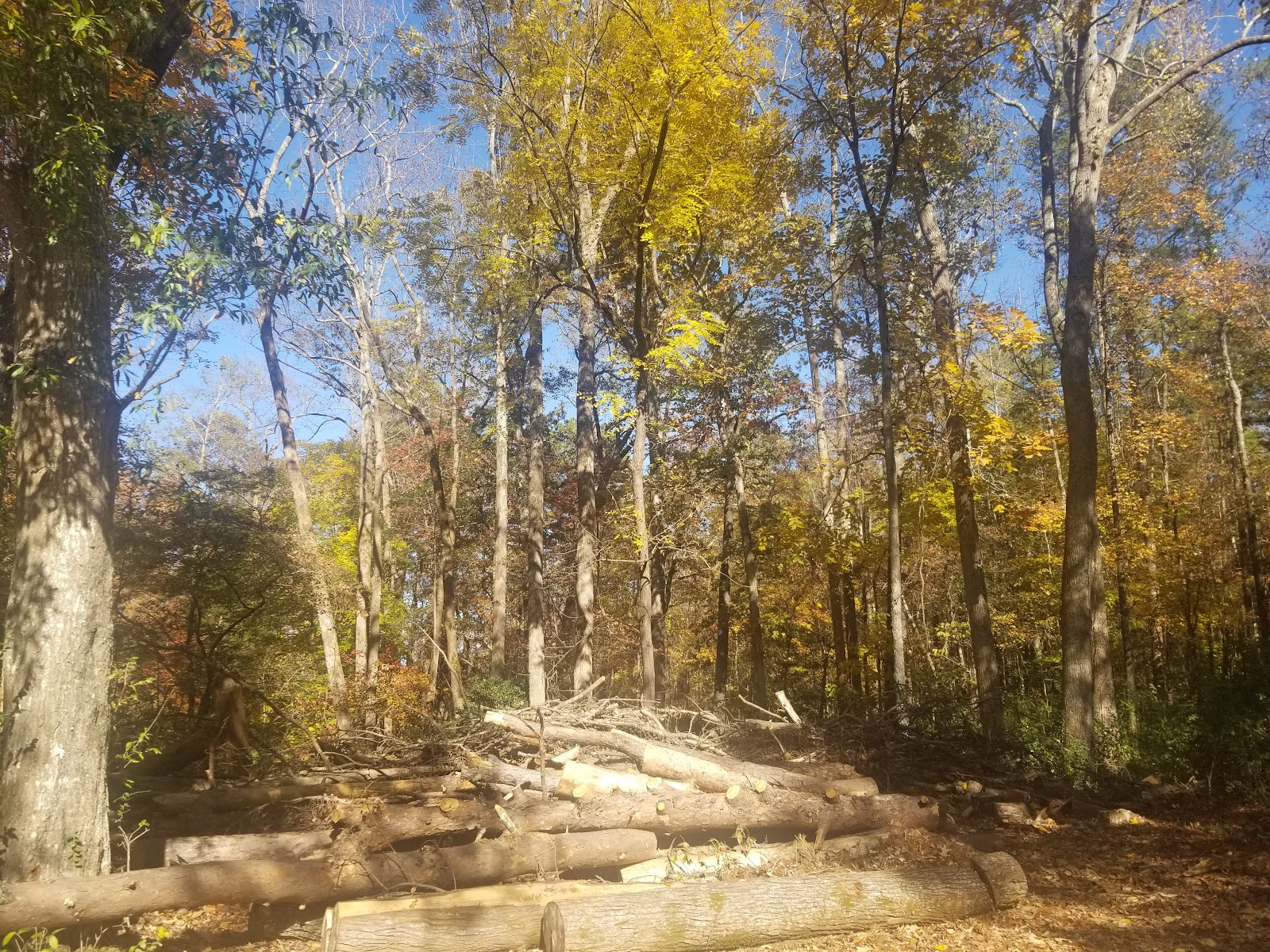 Croft State Natural Area