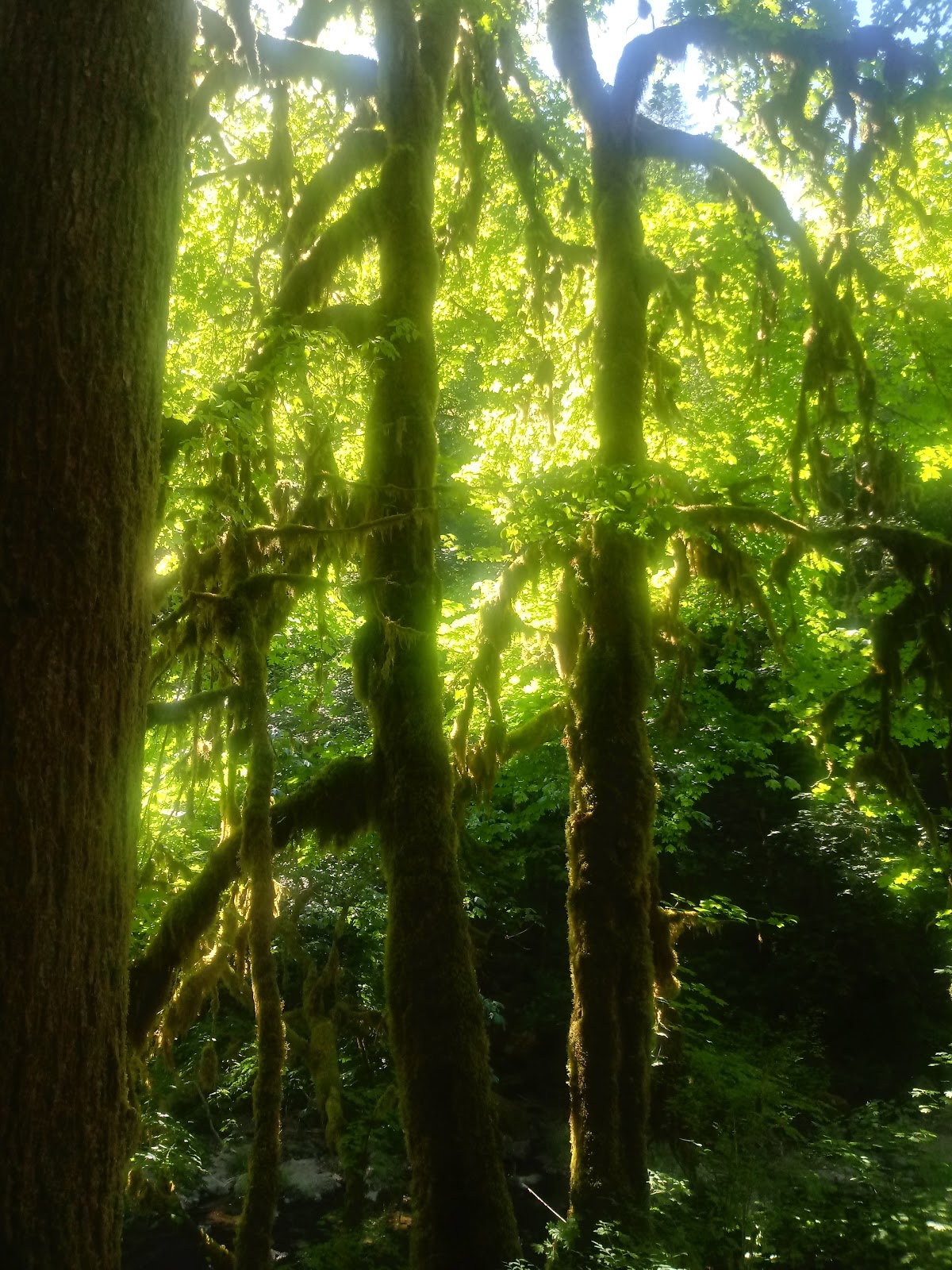 Broken Bowl Campground