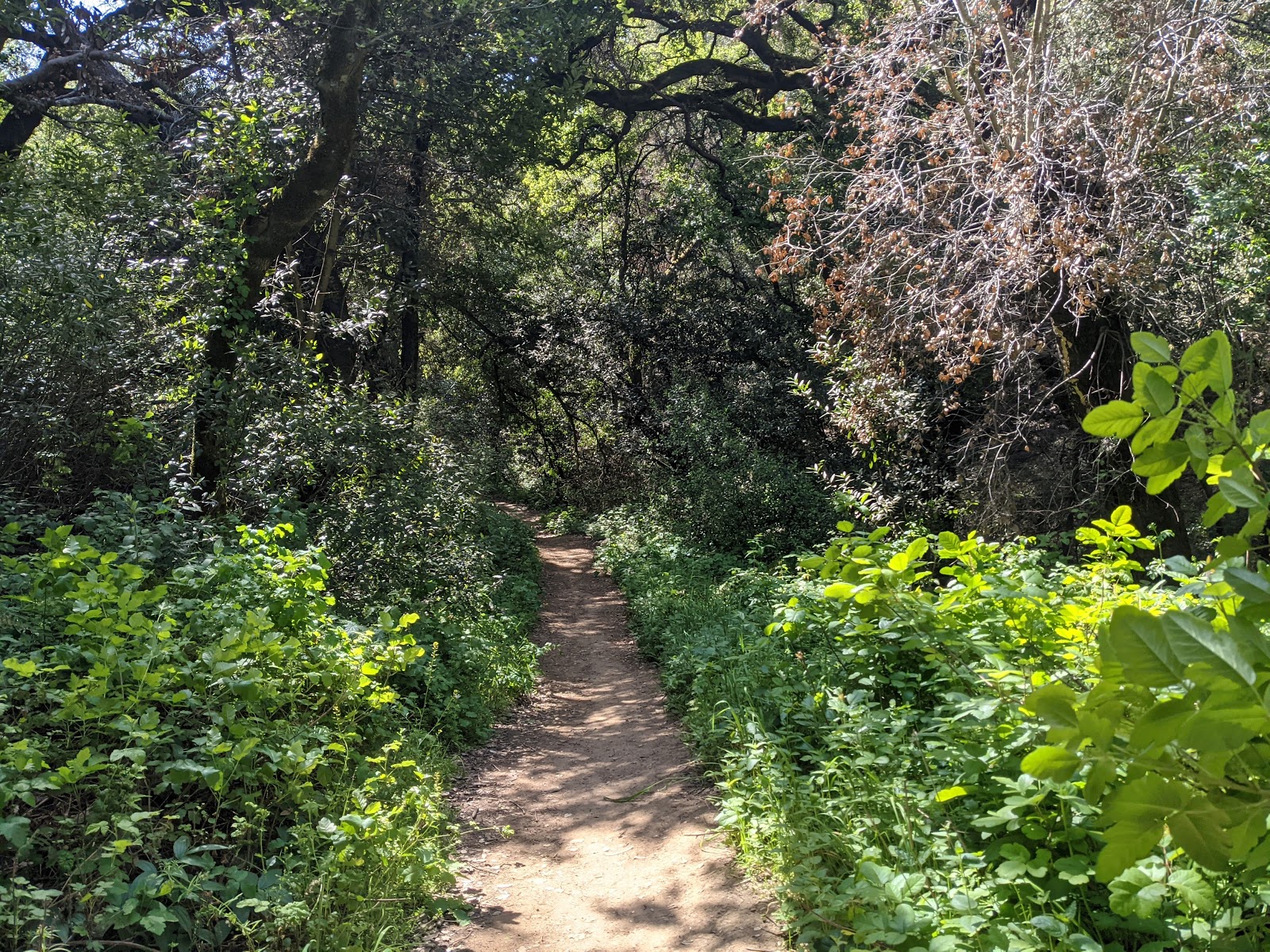 Anthony Chabot Regional Park Camping
