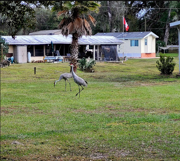 Snooze N Scoot 45+ RV Campground