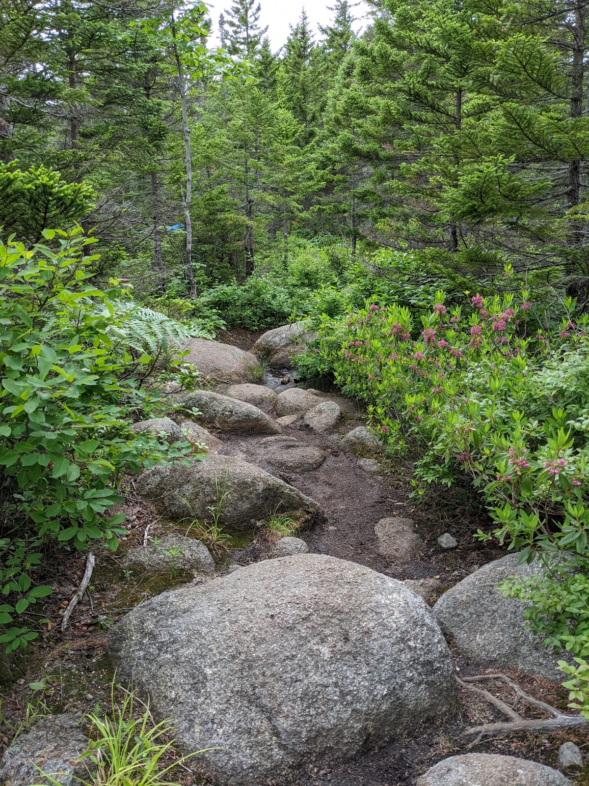 Baxter State Park