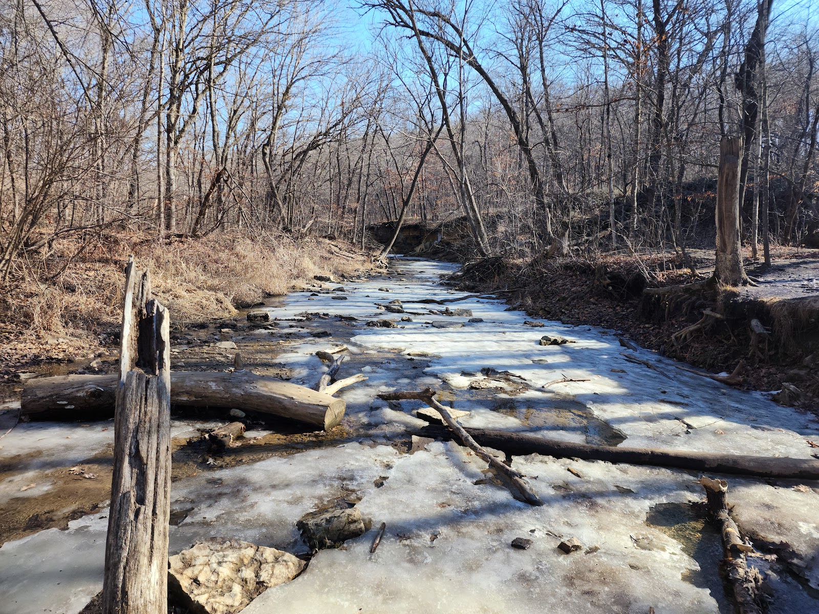 Nerstrand Big Woods State Park