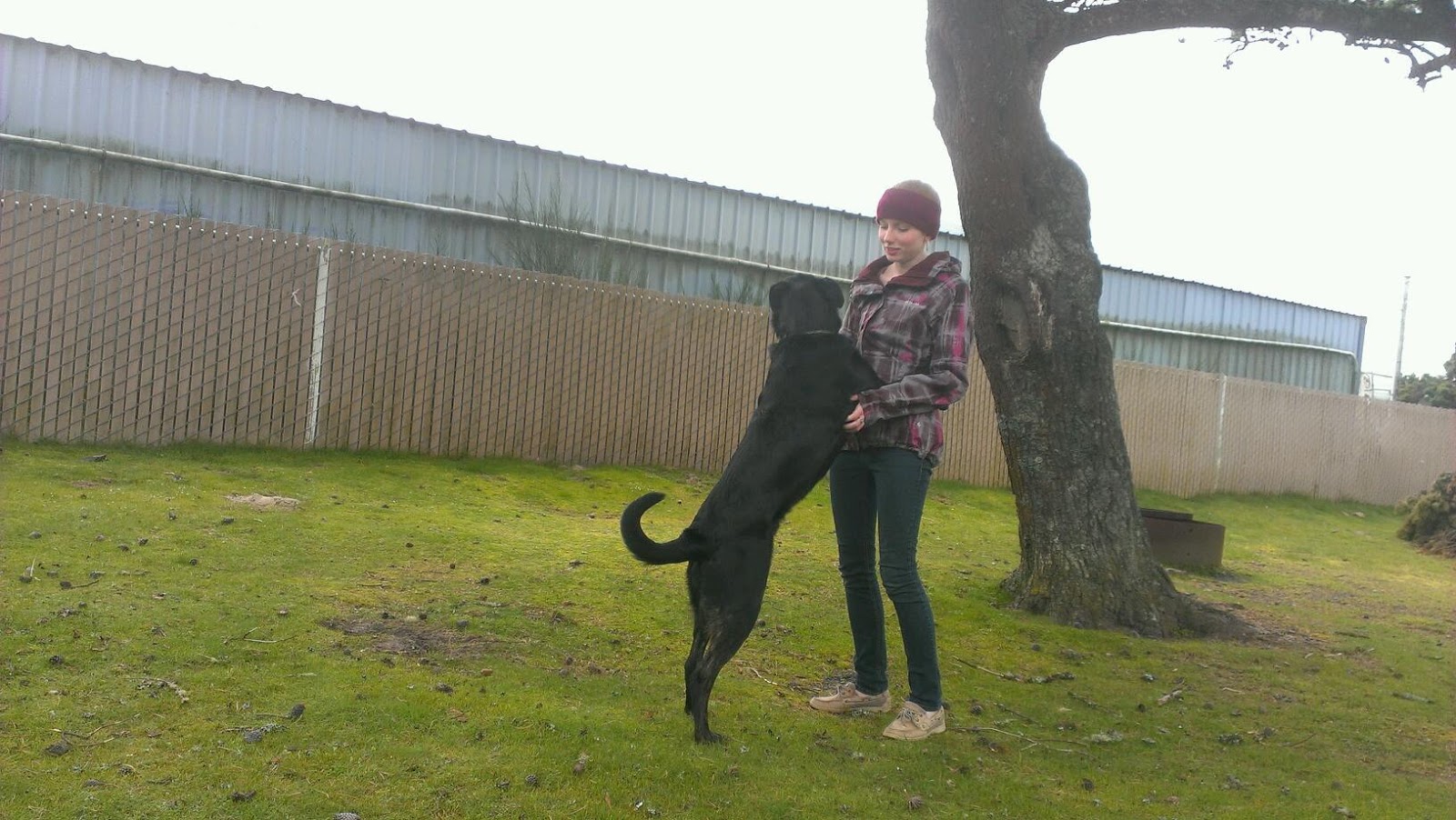 Tomichi Village RV Park