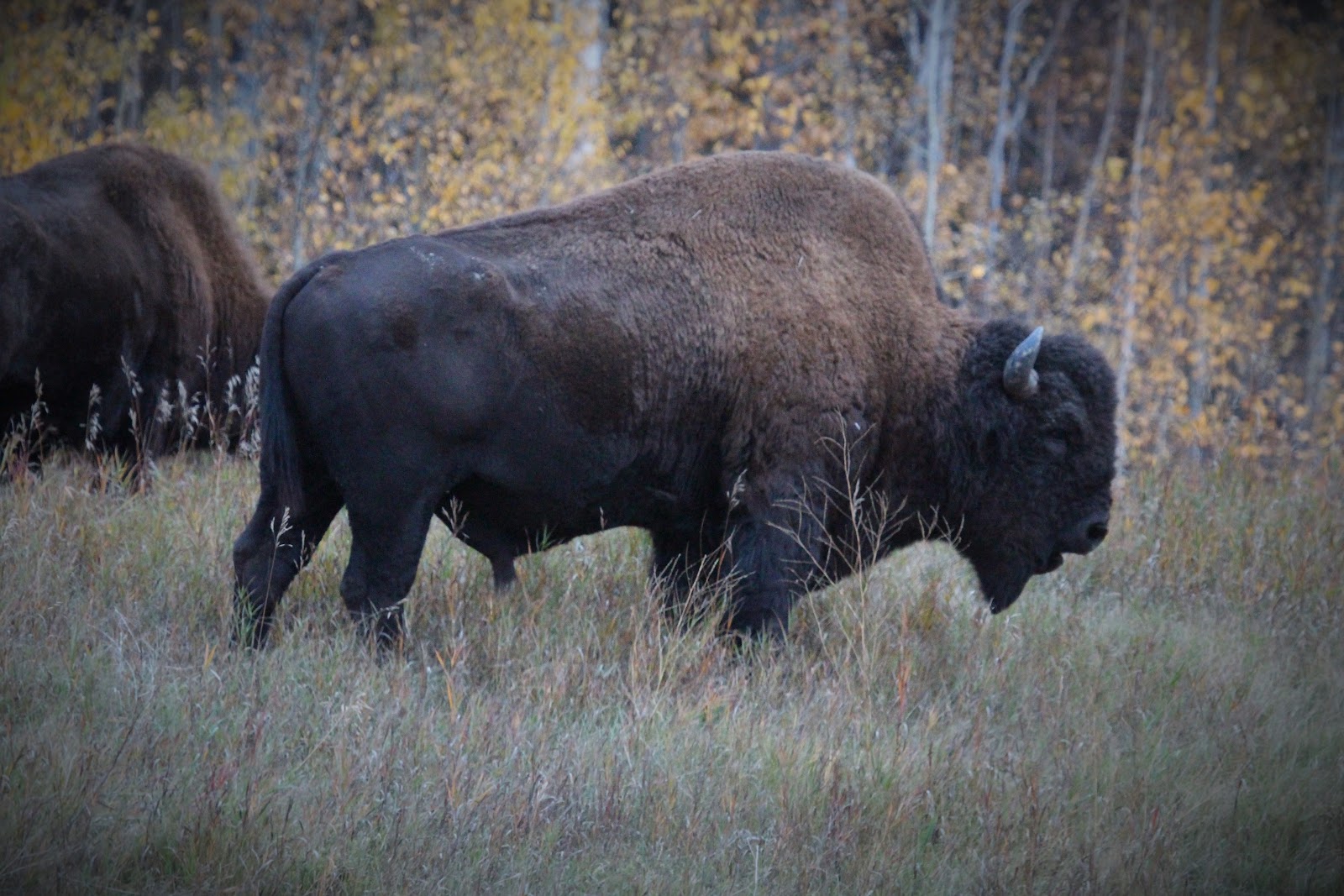 Rita's Campground & RV Park