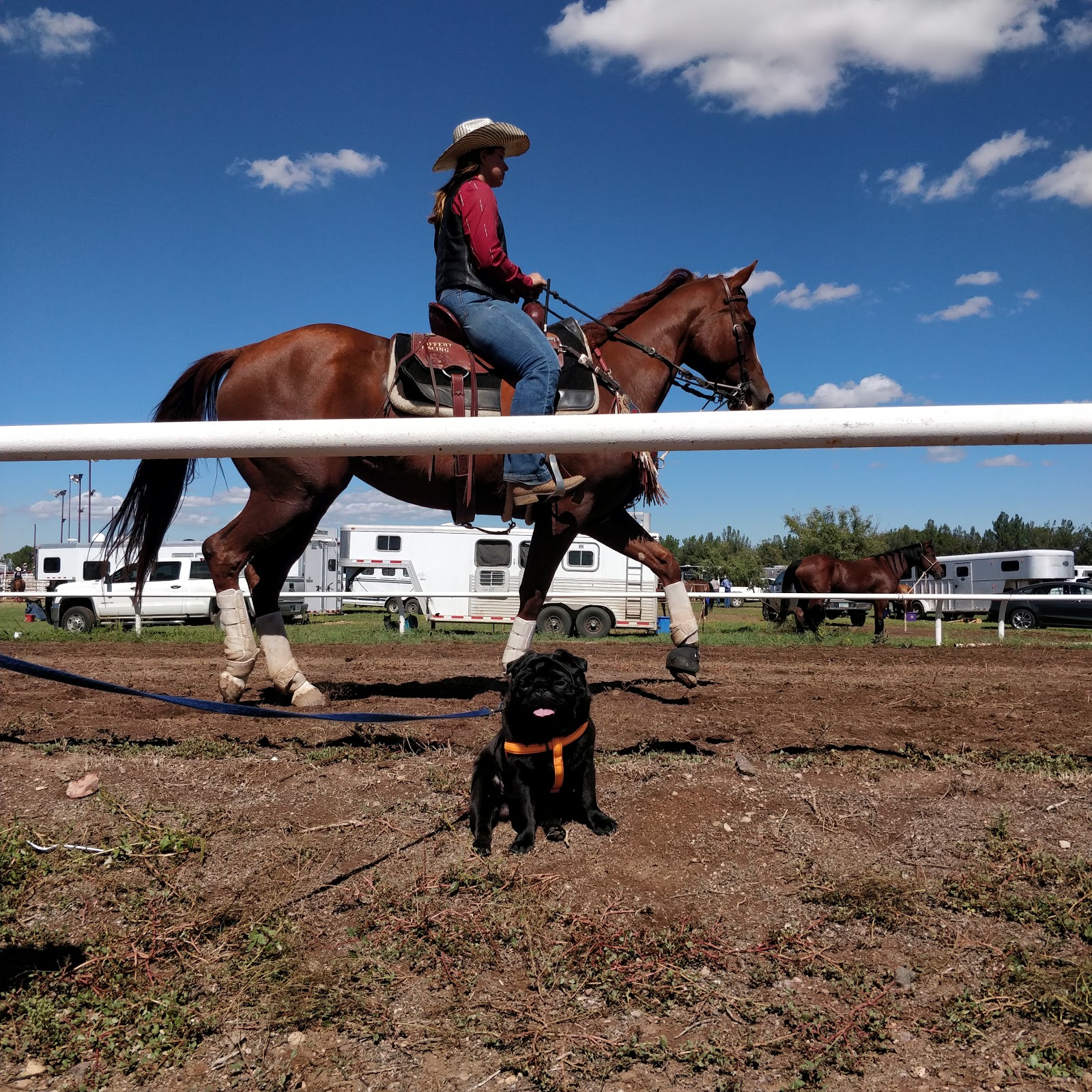 Cochise County Fairground