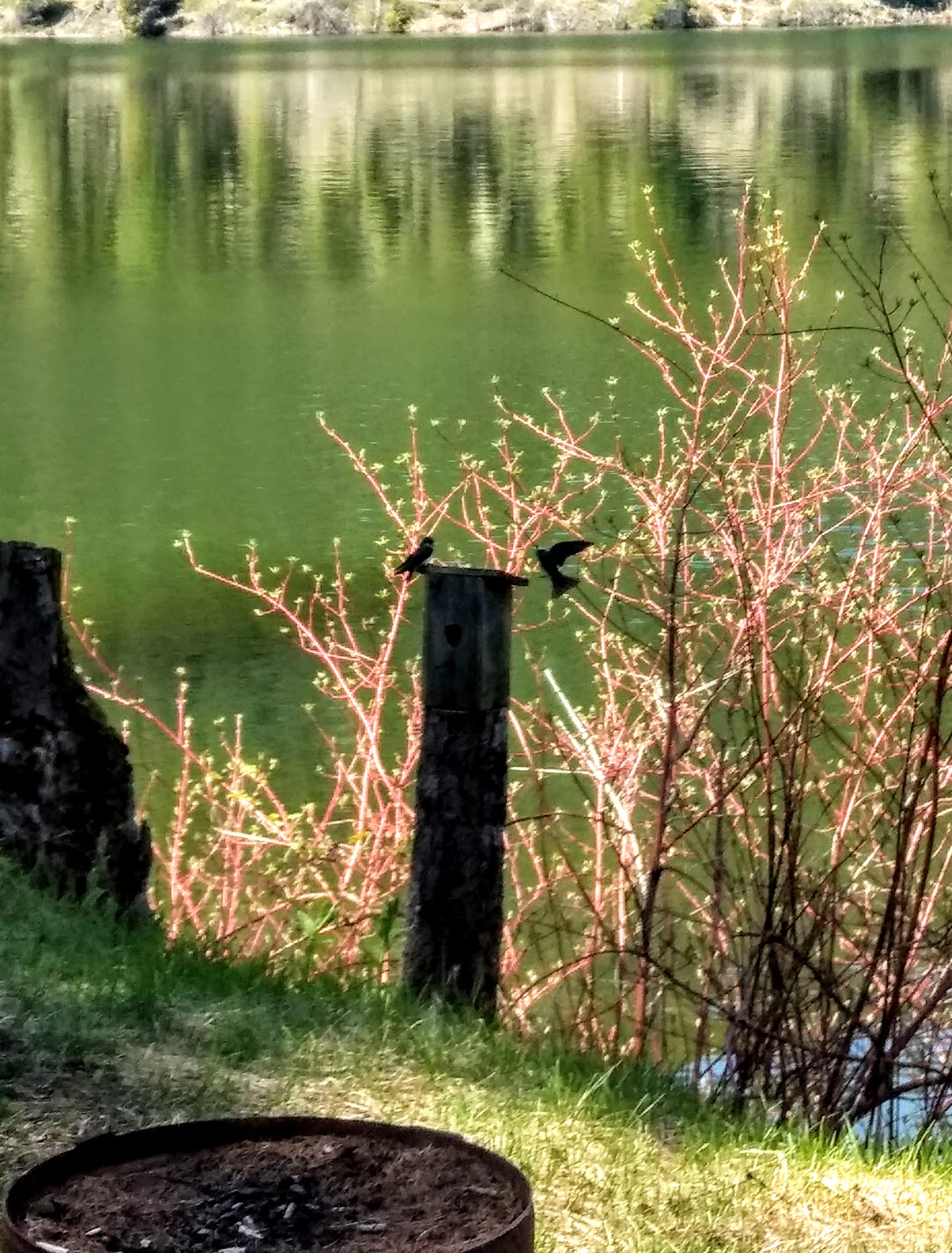 Beaver Lake Campground