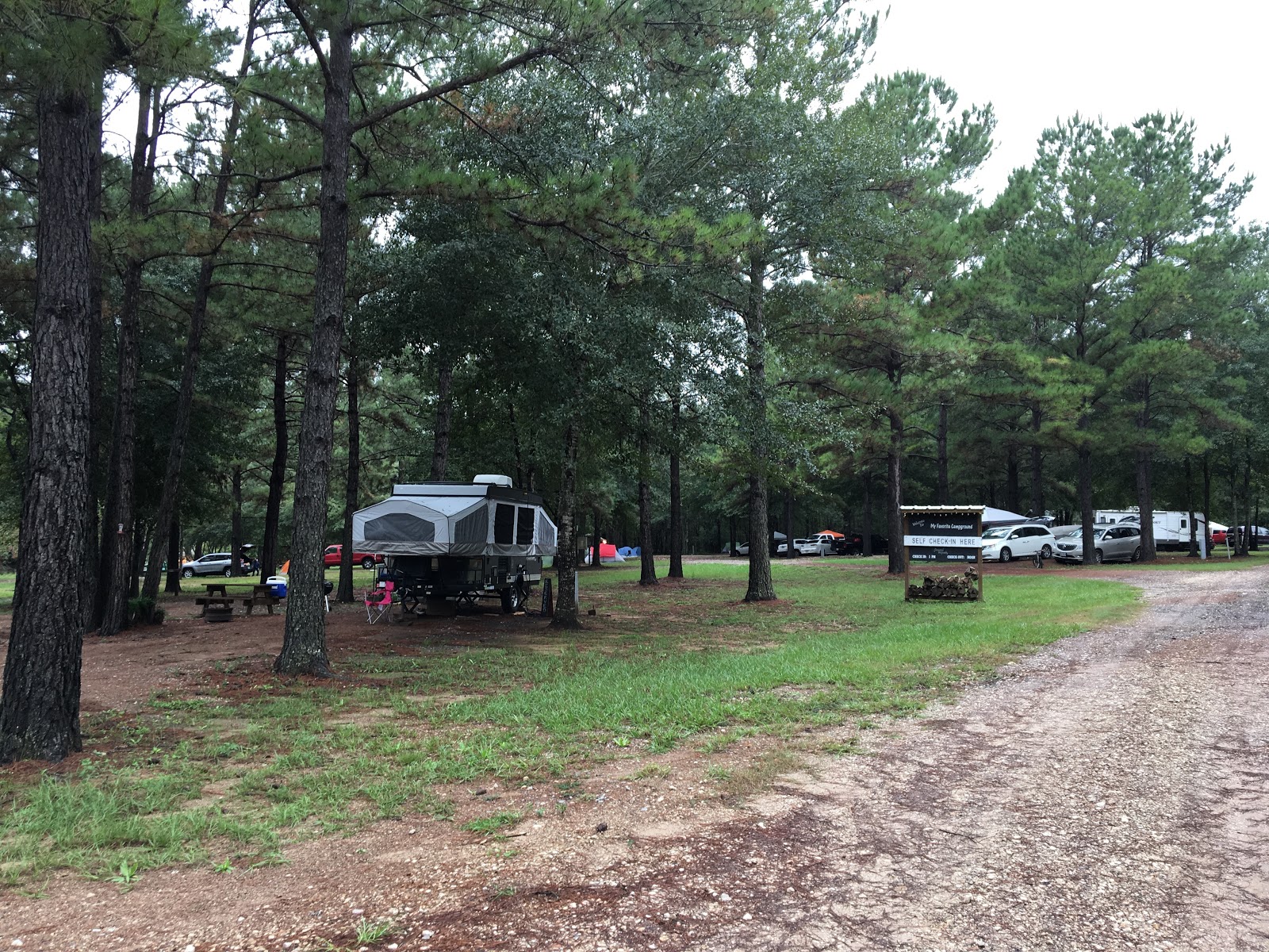 My Favorite Campground