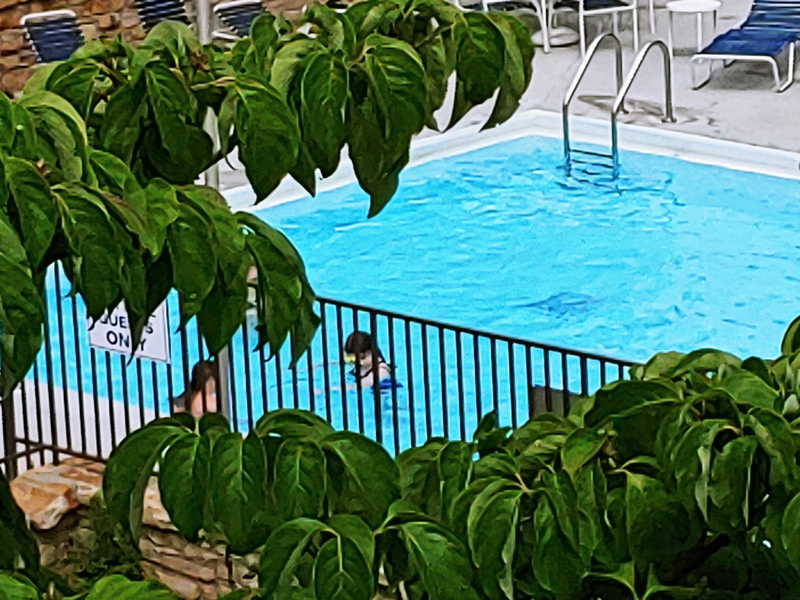 Tailwater Site Campground