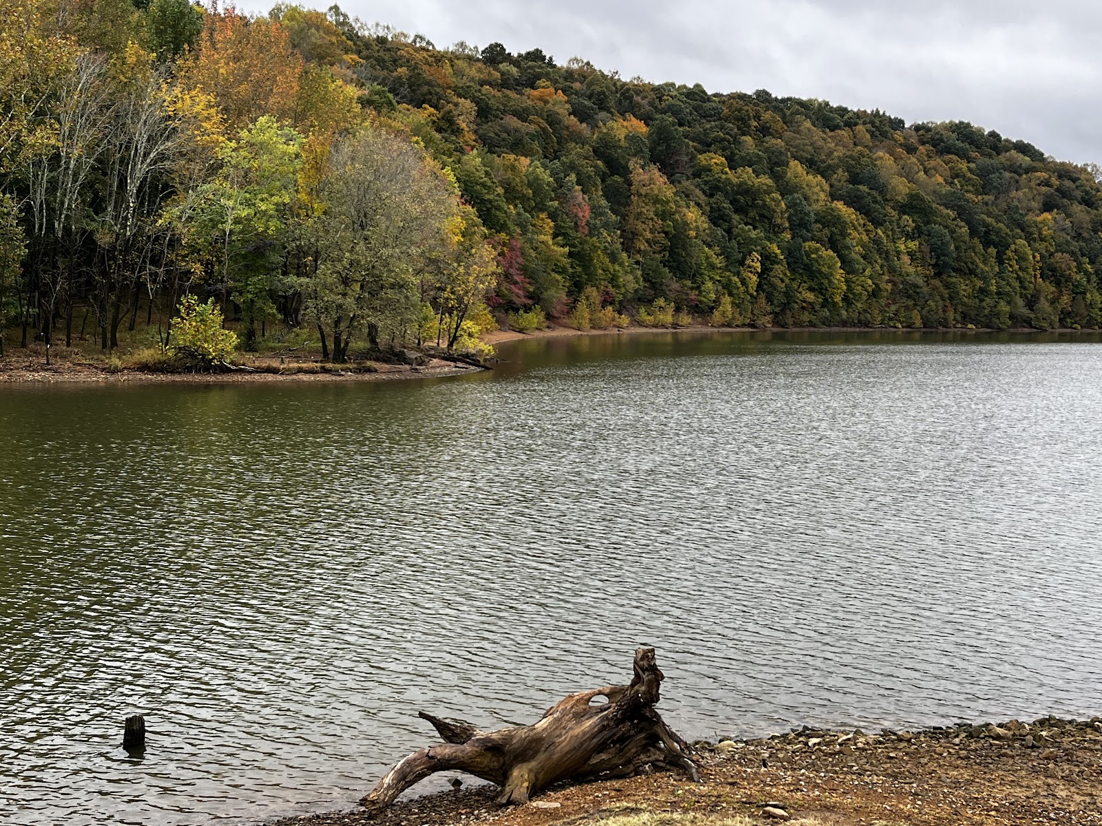 Holmes Bend Marina Resort