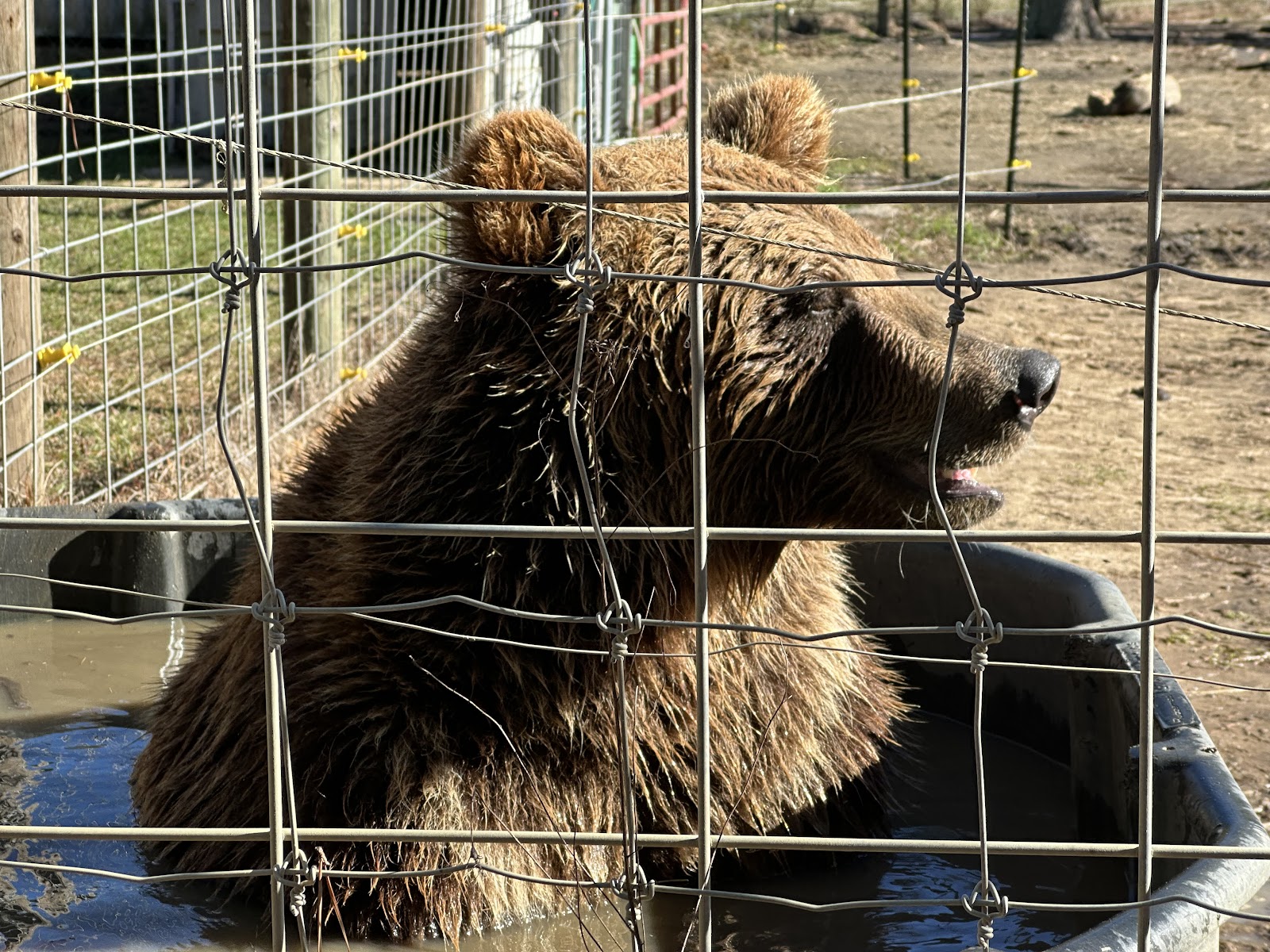 Grizzly Ranch RV Campgroundrmation