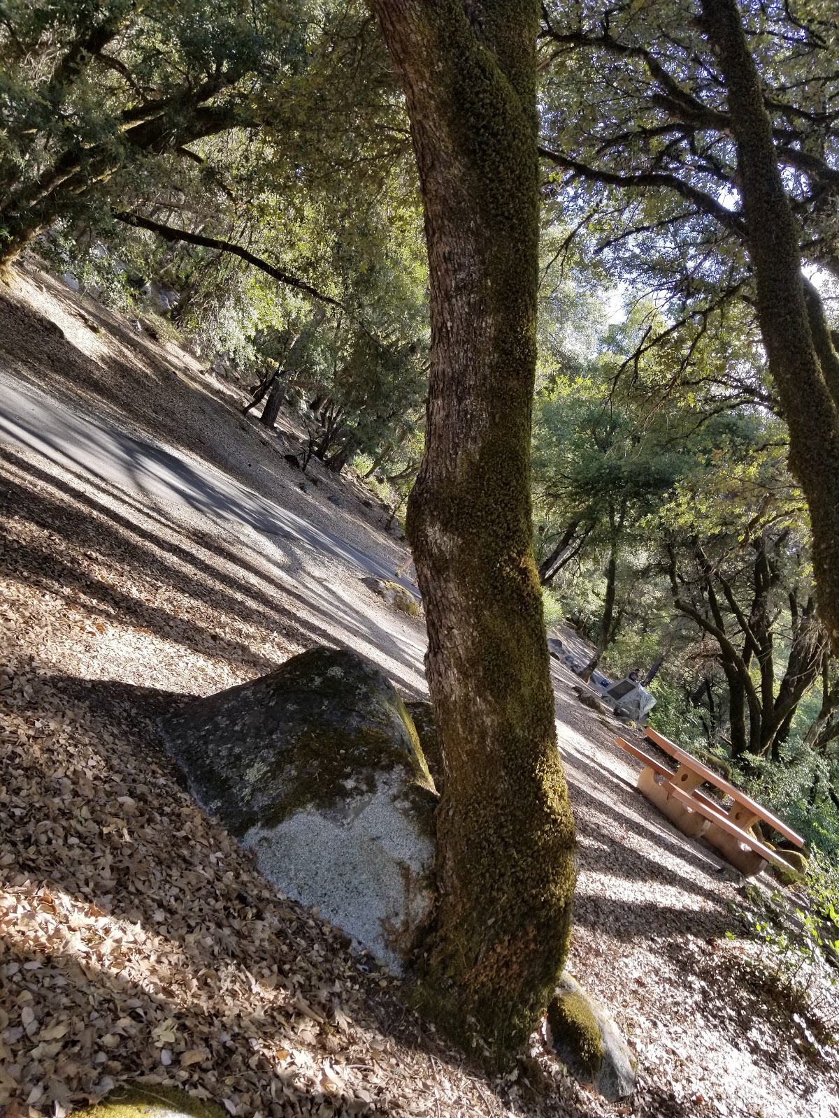 Brandy Creek Campground