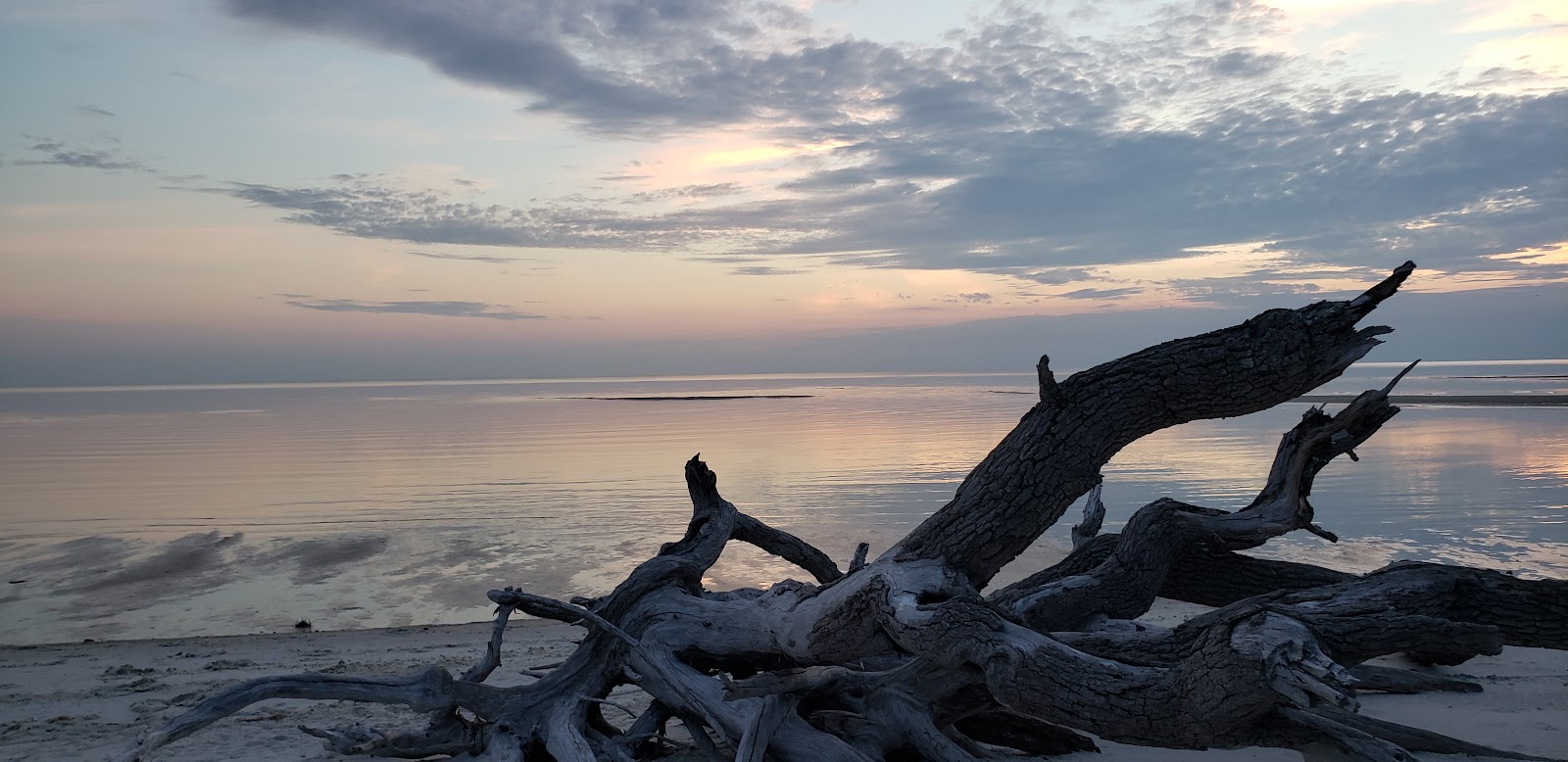 Cedar Island RV Park