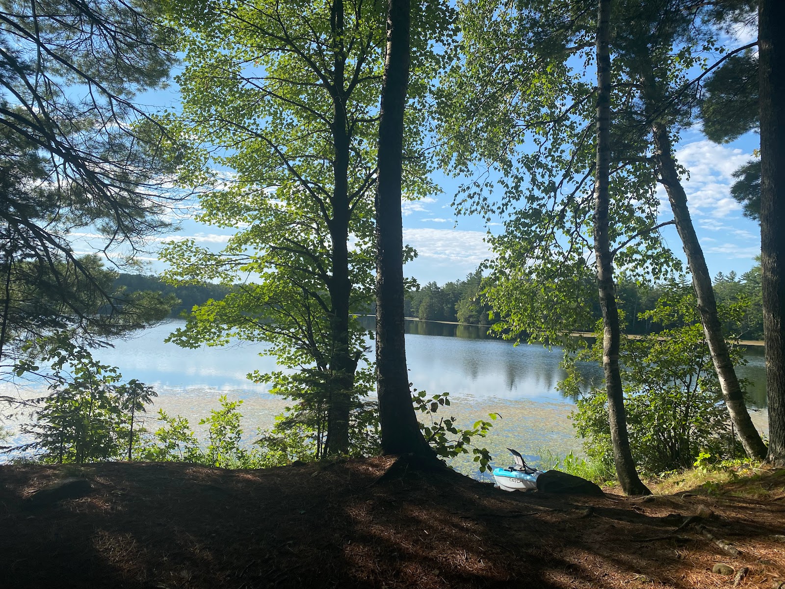 Perch Lake NF Campground