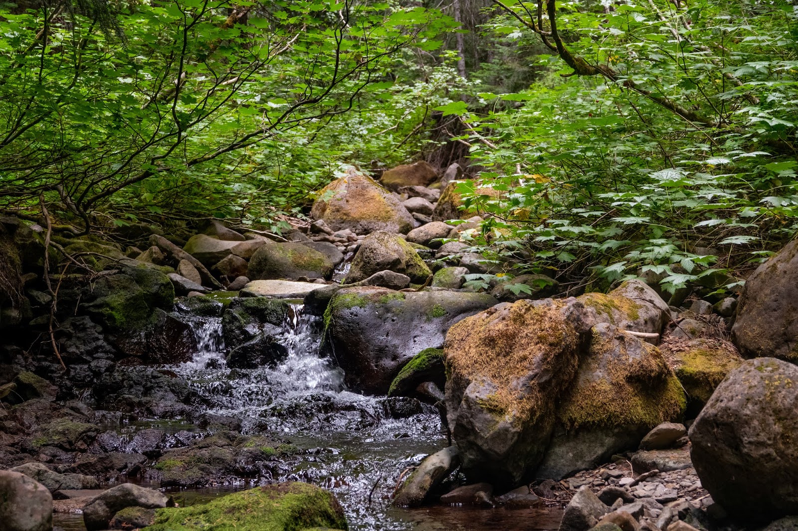 Falls Creek Horse Camp