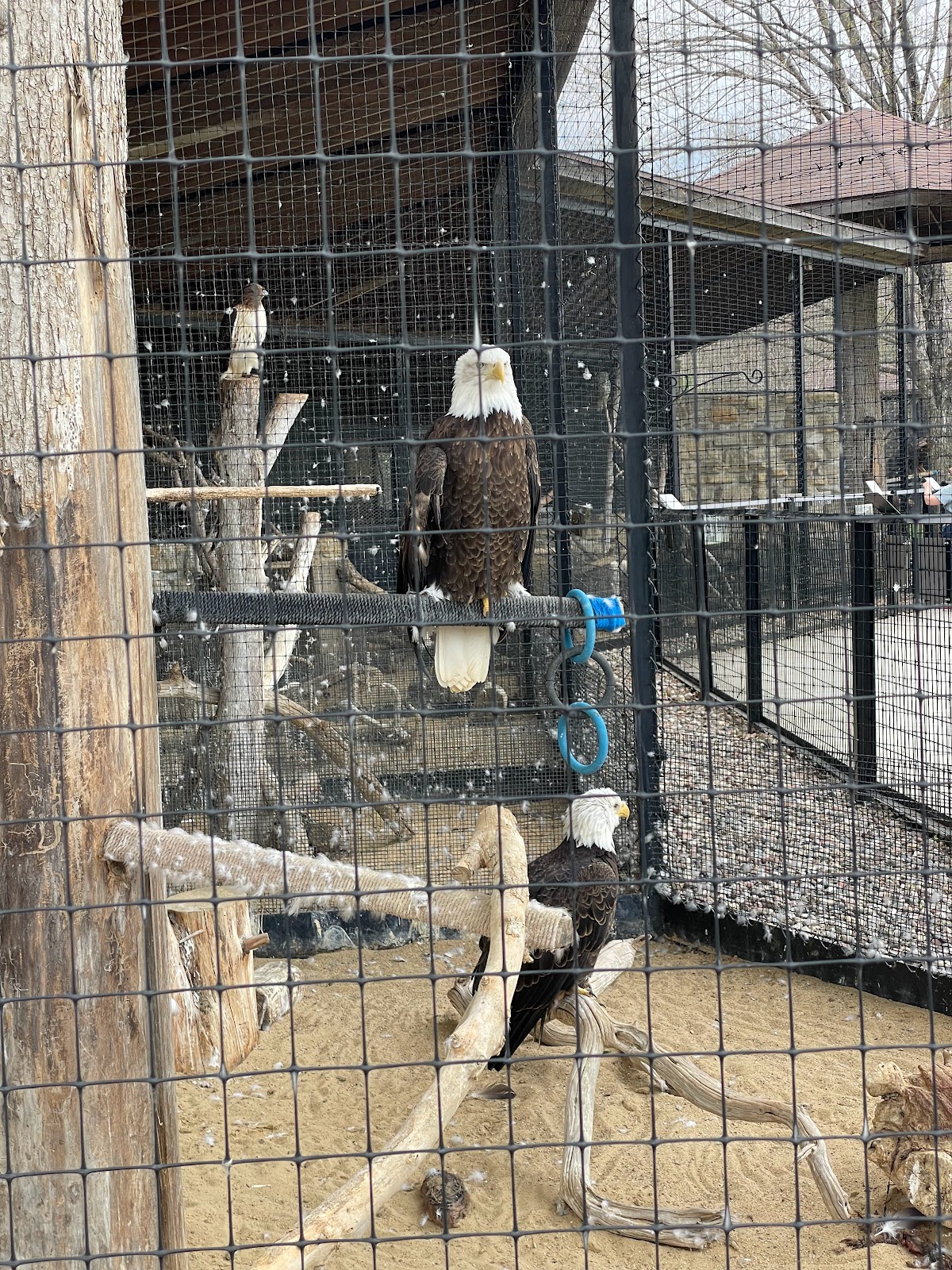 Oxbow Park and Zollman Zoo Campground