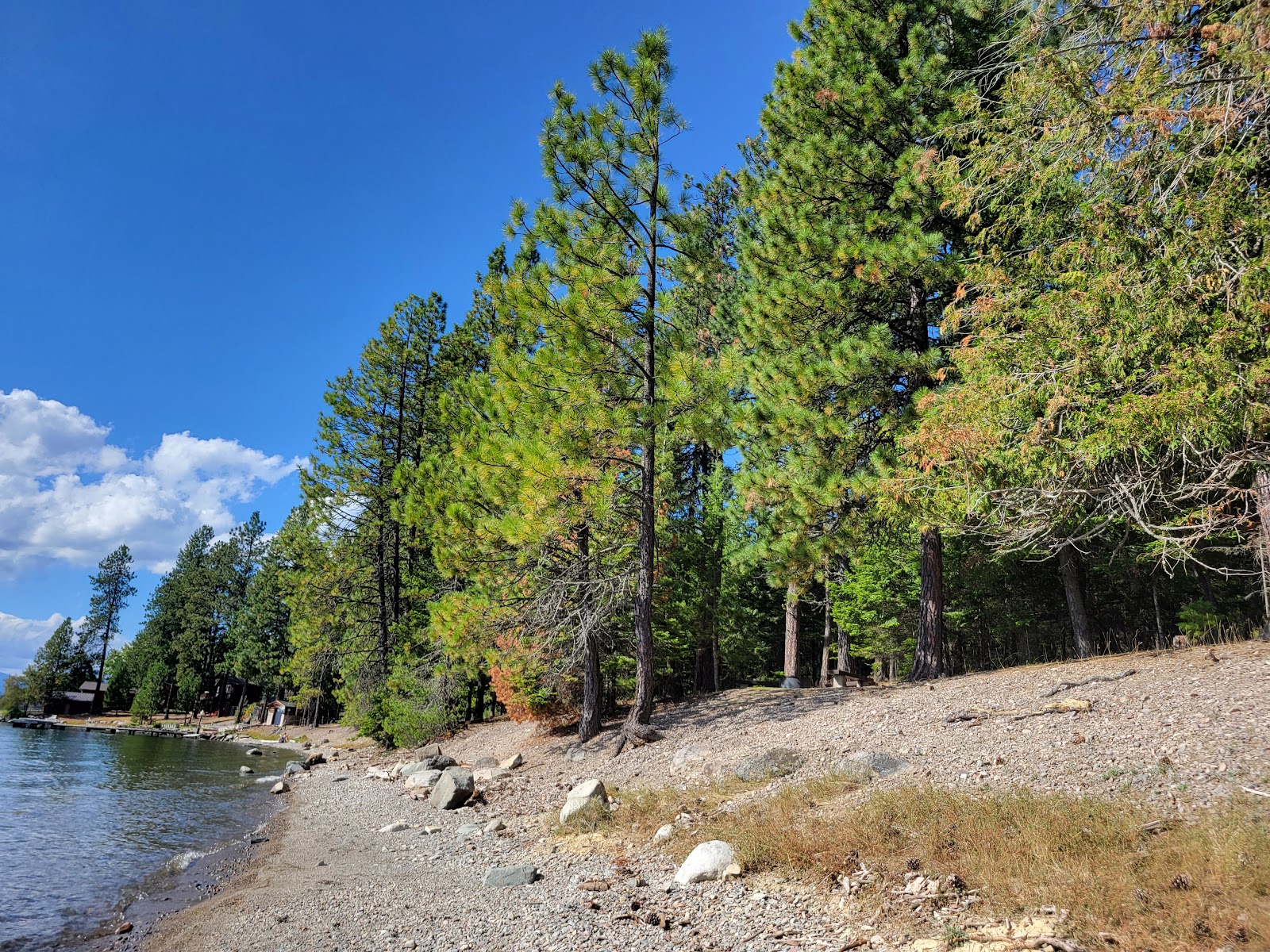 Idaho Panhandle/Sam Owen Campground