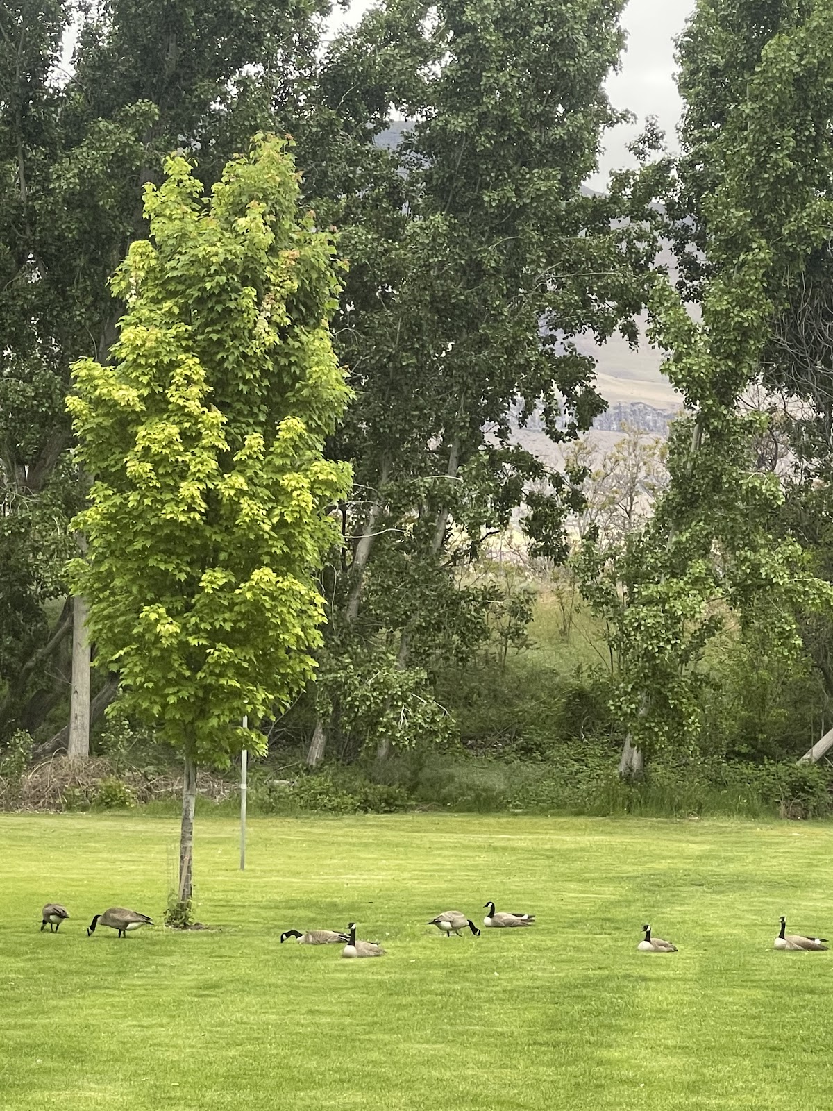 Deschutes River State Recreation Area