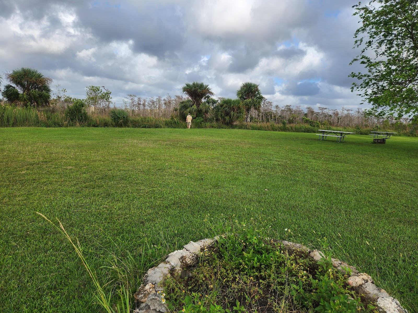 Monument Lake - Big Cypress National