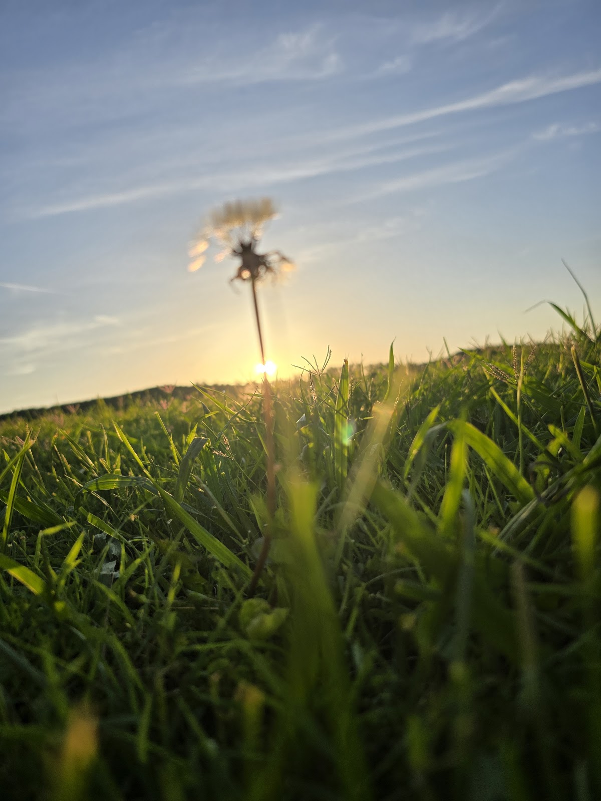 Mousetail Landing State Park Spring Creek Campground