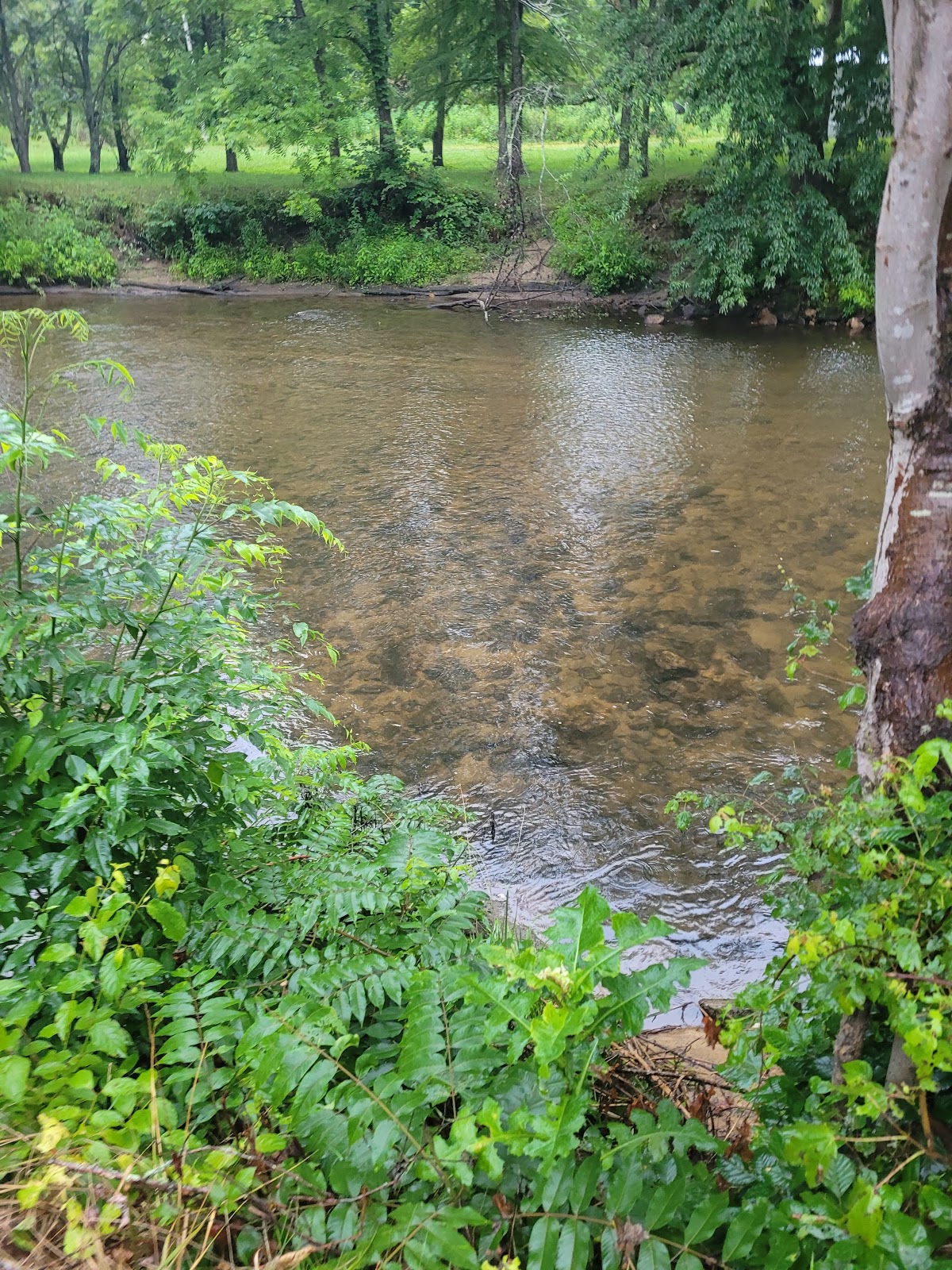 Cullasaja River RV Park