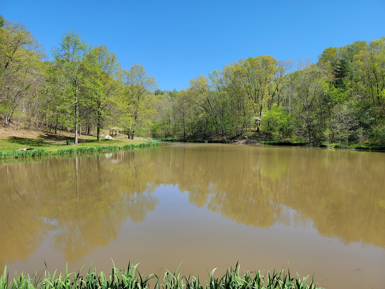 The McCully Heritage Project