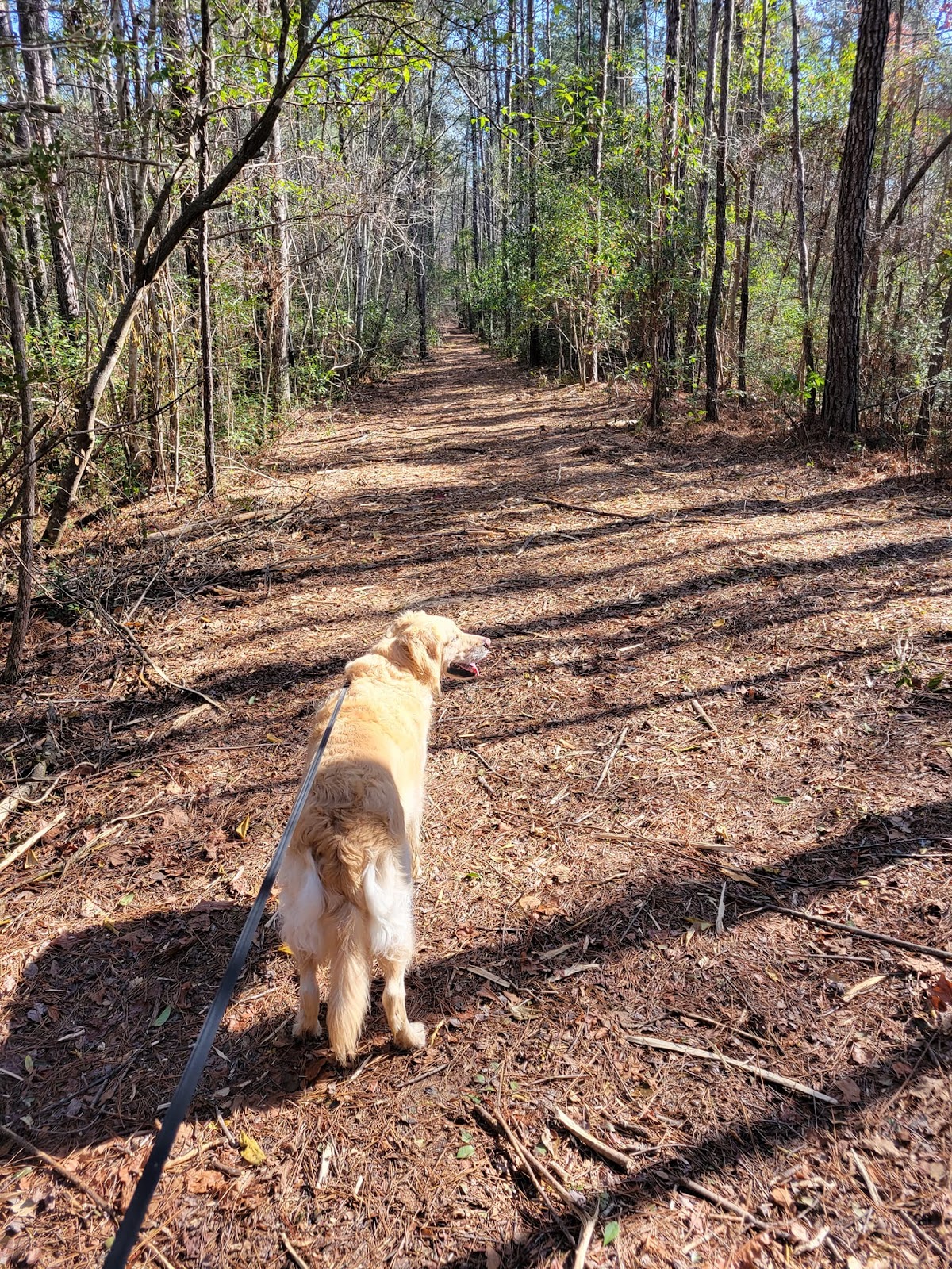 WillowTree RV Resort