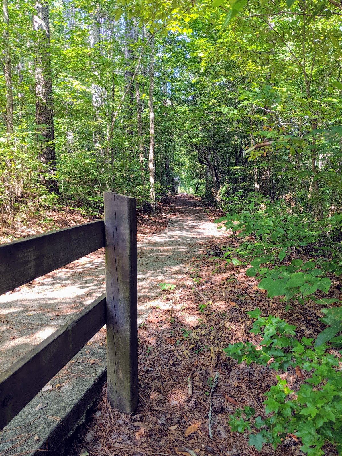 The Pocket Recreation Area