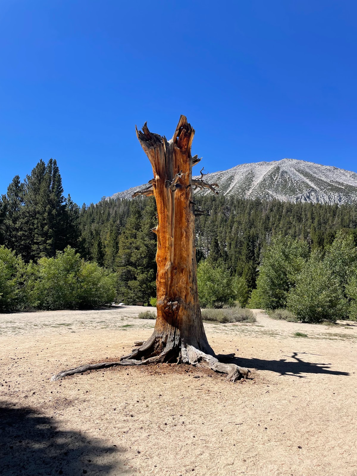 Rock Creek Lake Campground