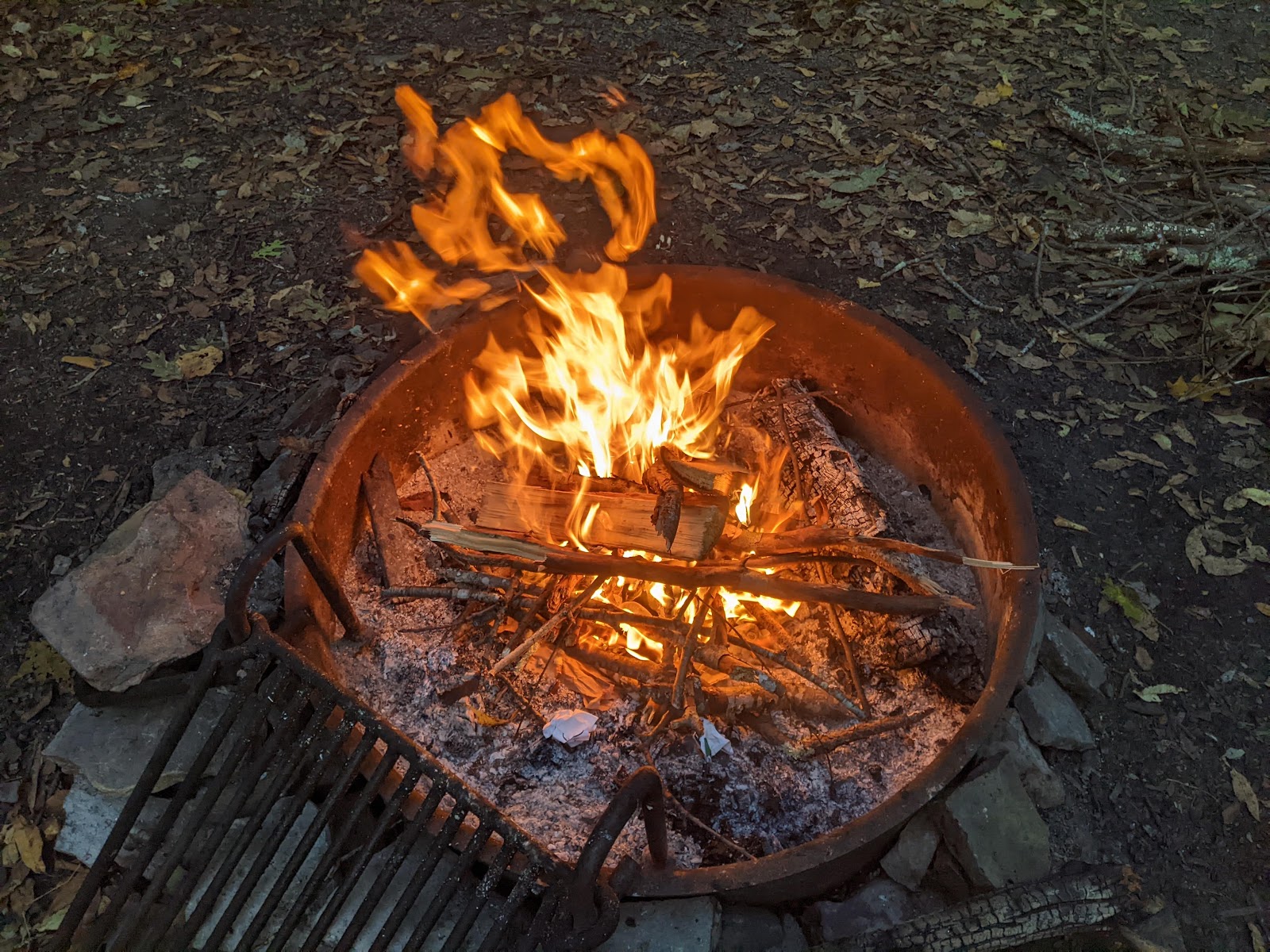 Bear Haven NF Campground