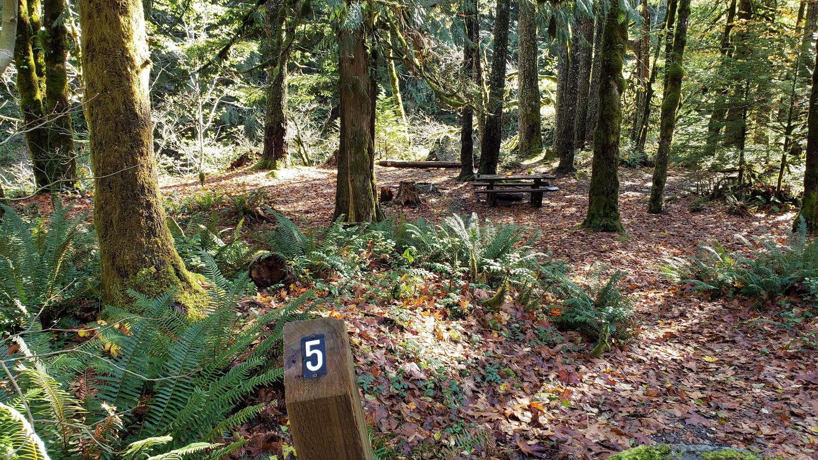 Shady Cove Campground