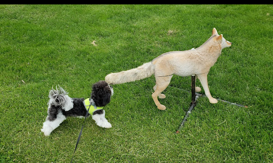 Kewaunee Marina Campgrounds