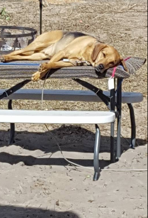 Black Horse Resort Ranch