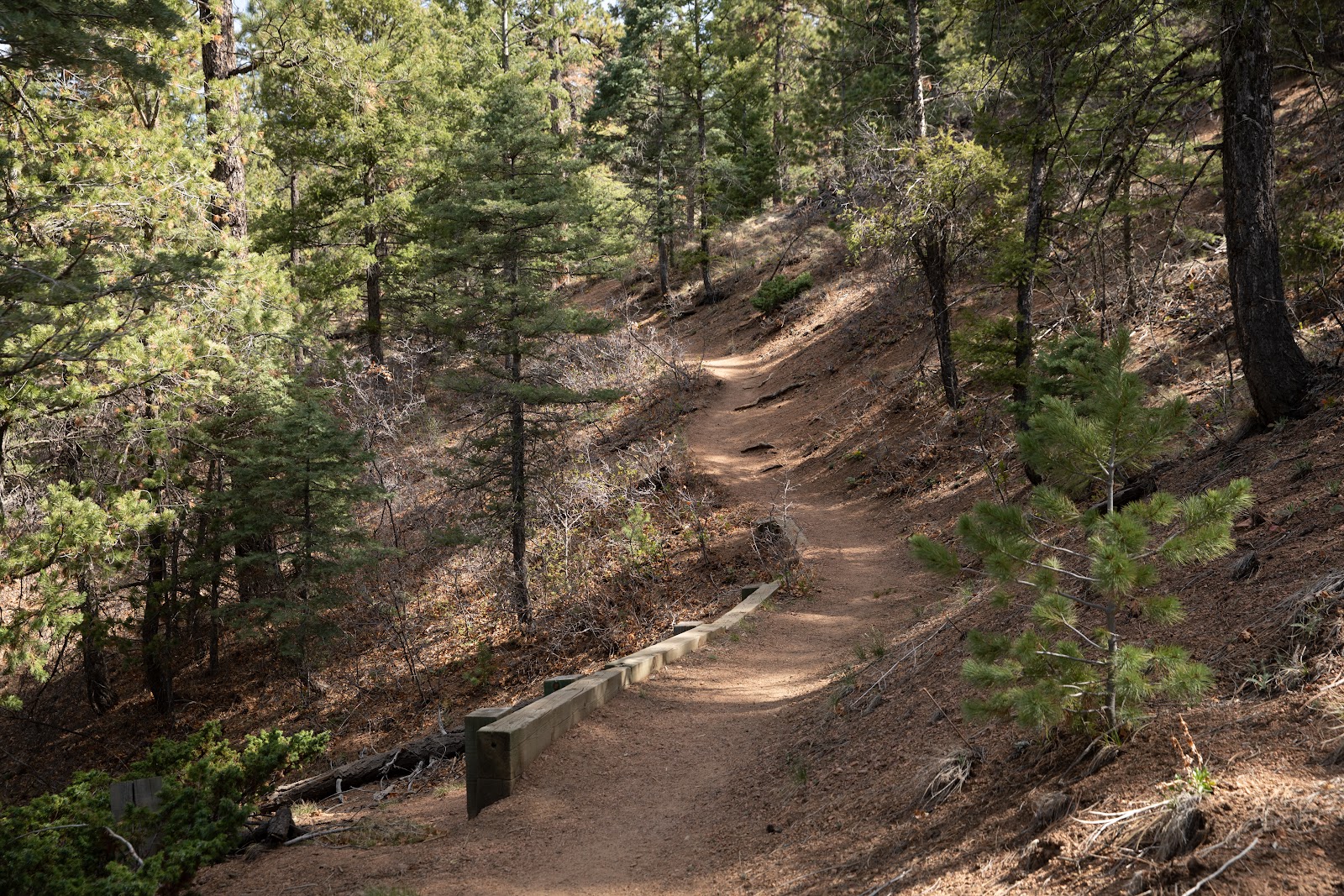 Hyde Memorial State Park