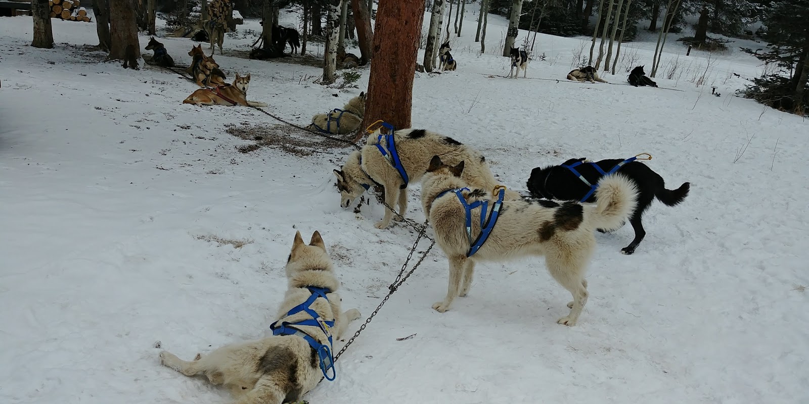 Chapman Resevoir Campground