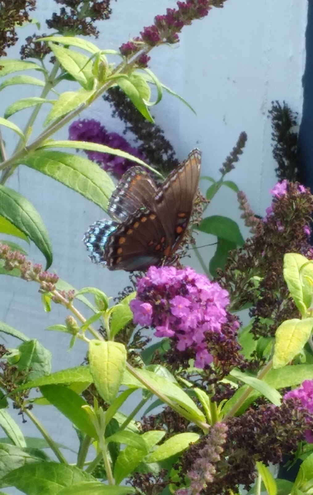 The Lexington RV Resort