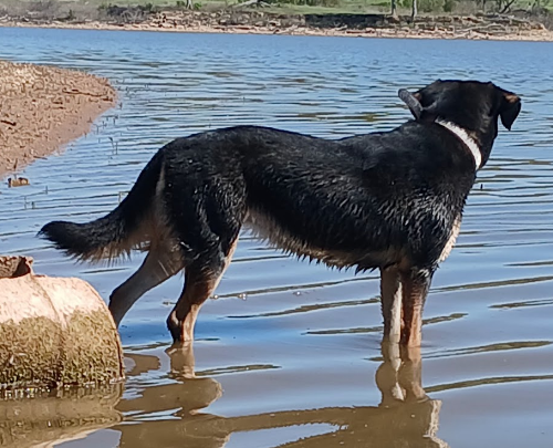 Texoma Shores RV Resort