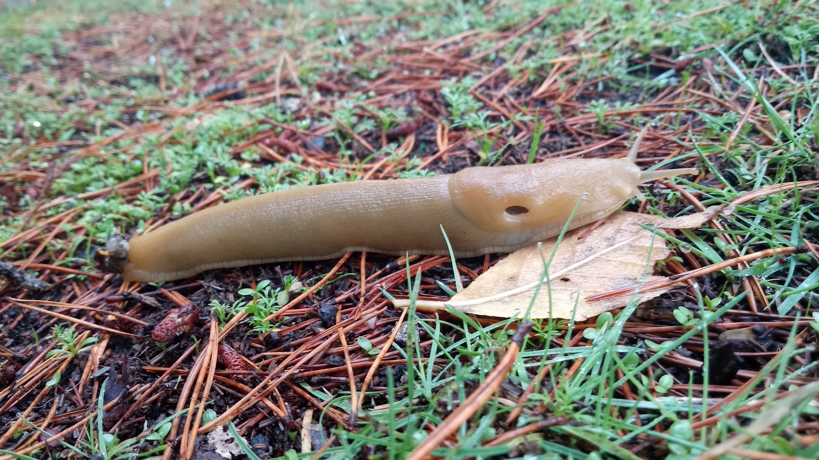 William M Tugman State Park