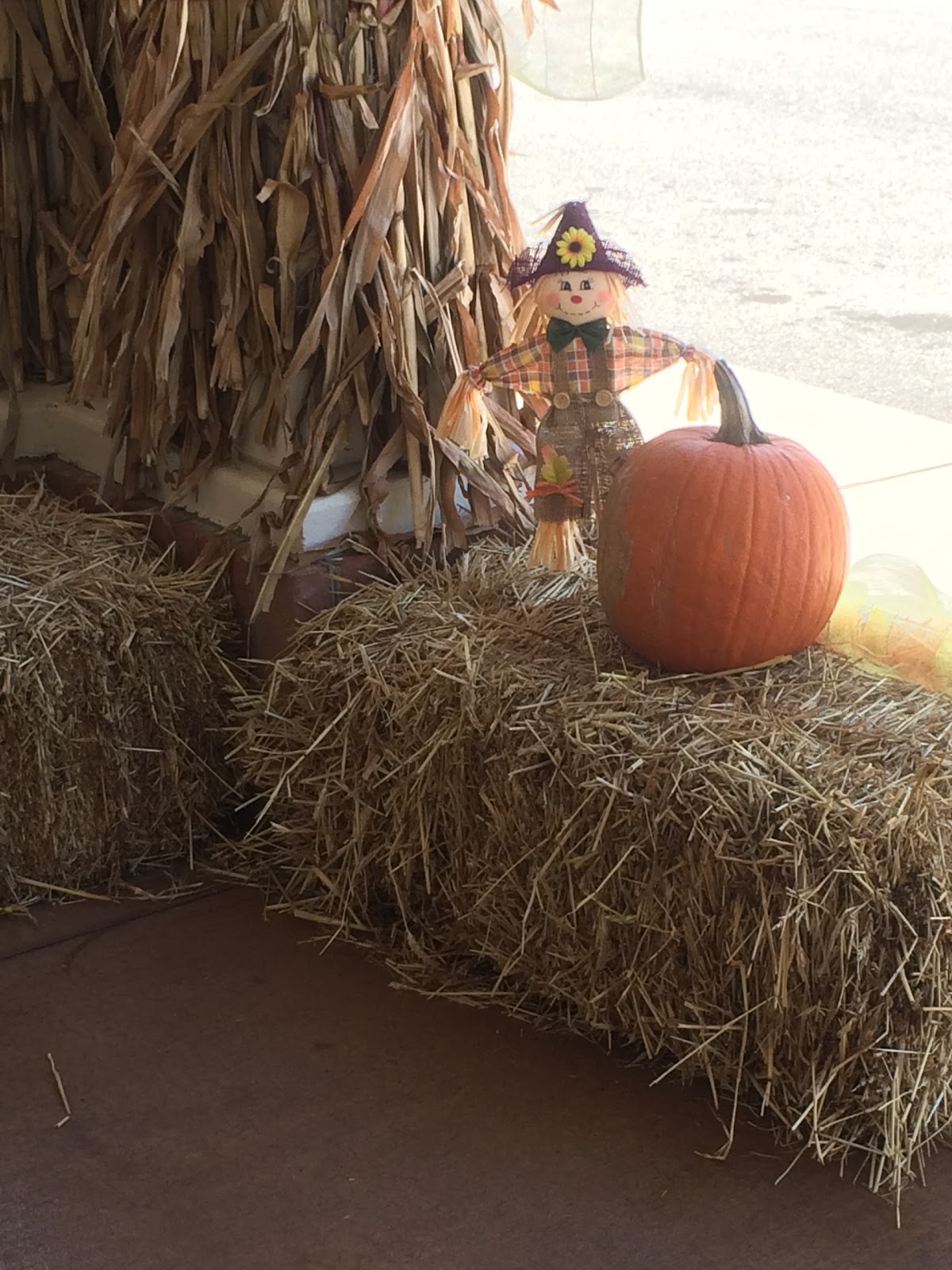 Pine Mountain RV Park