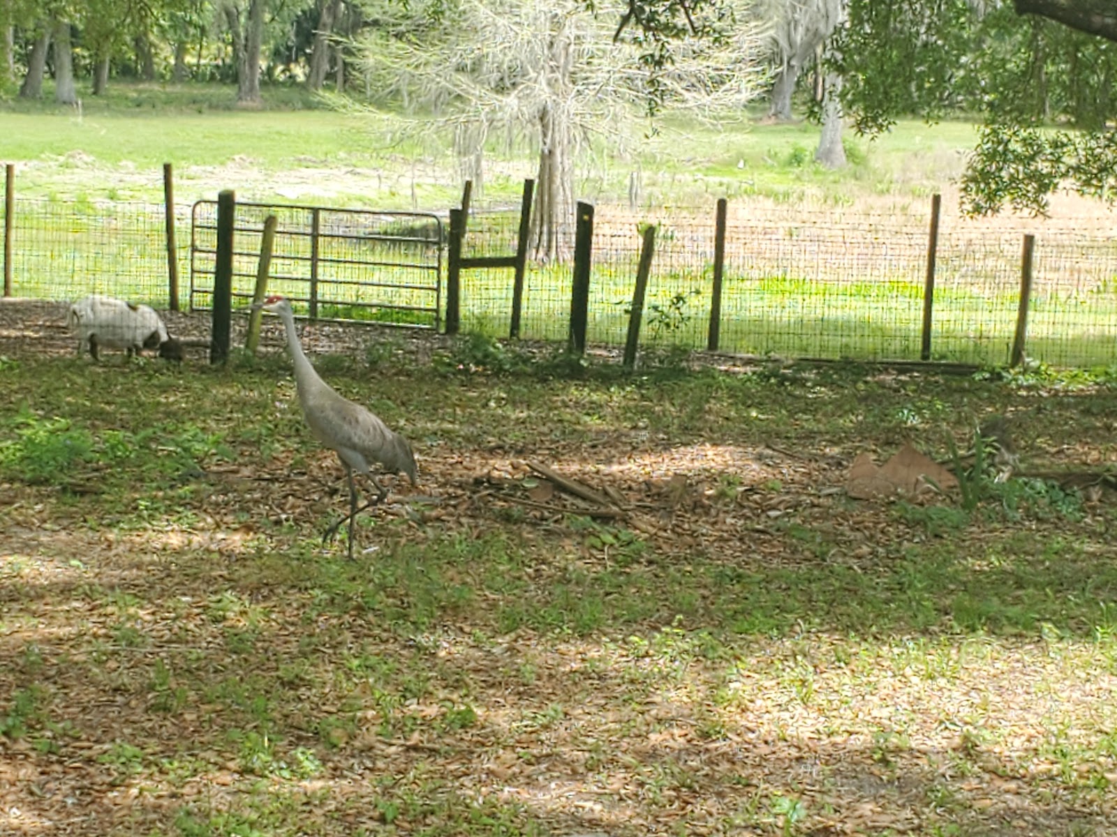 Wild Woods Campground