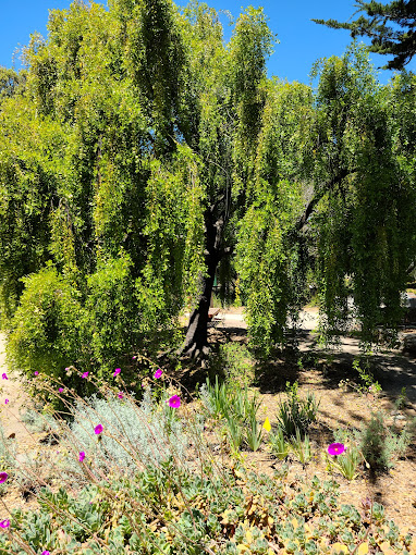 El Chorro Regional Park